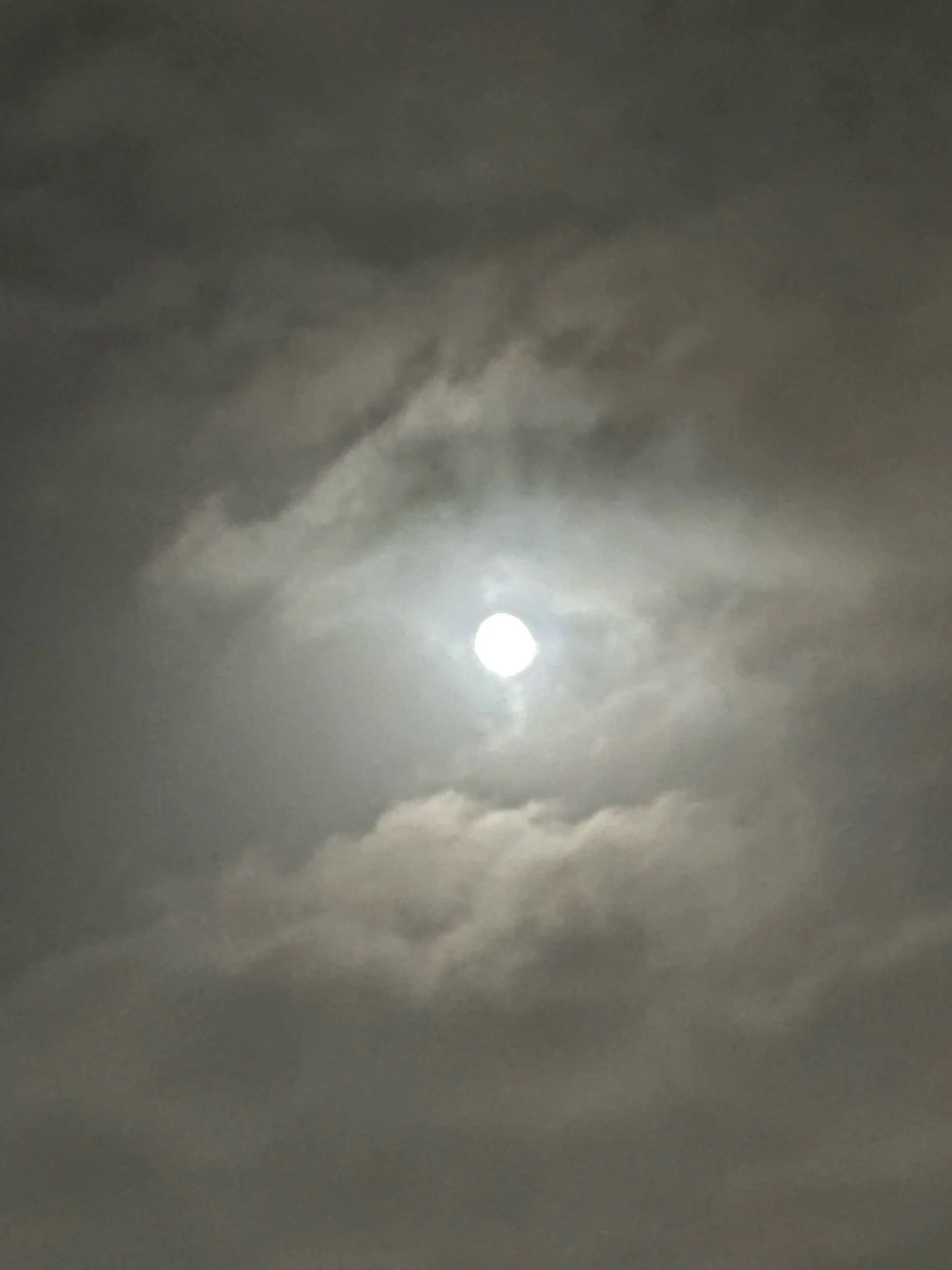 Ghosts and Ghostlines—Prompts inspired by Andrea Cohen