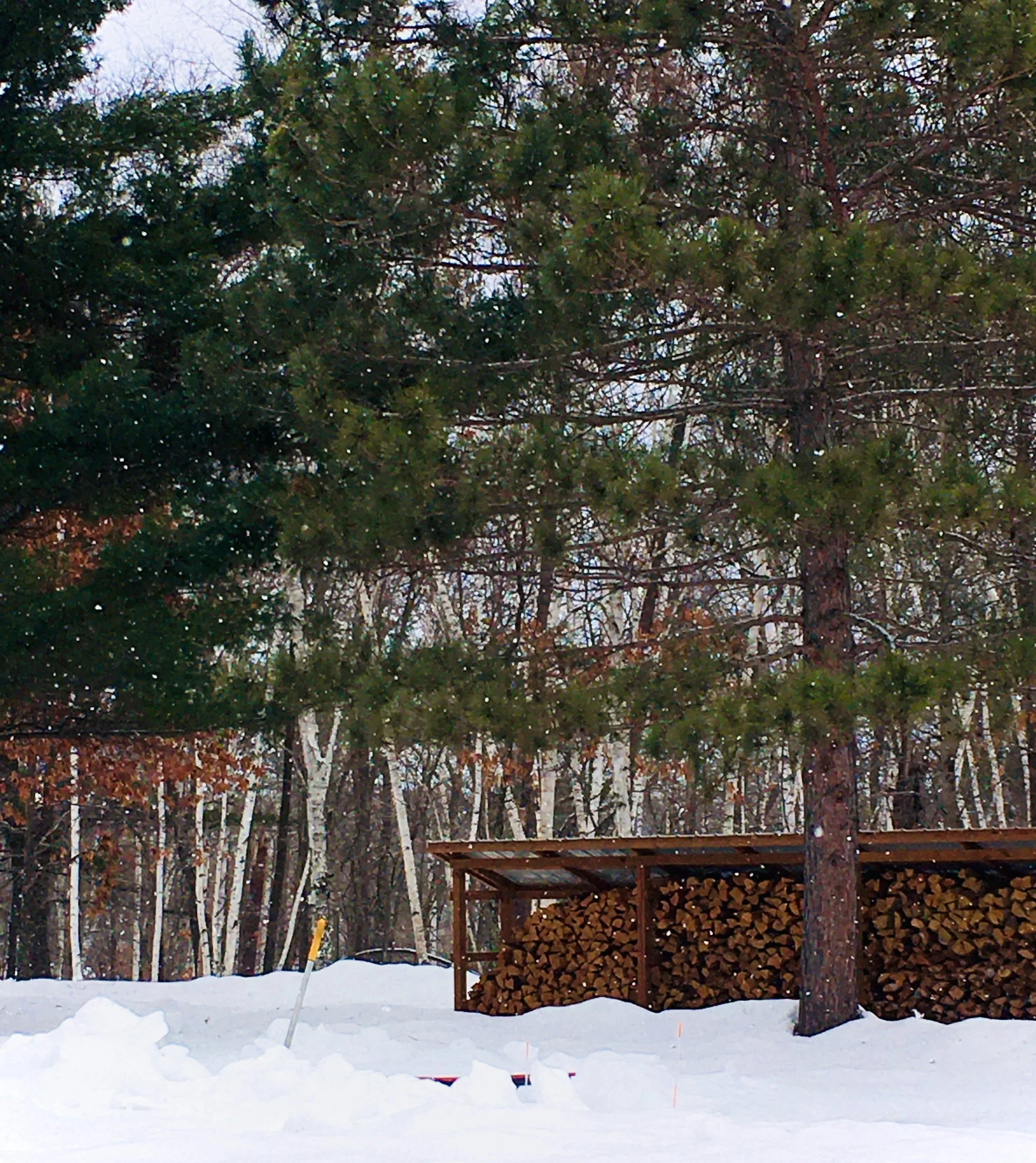 Prompts Inspired by Nikki Giovanni