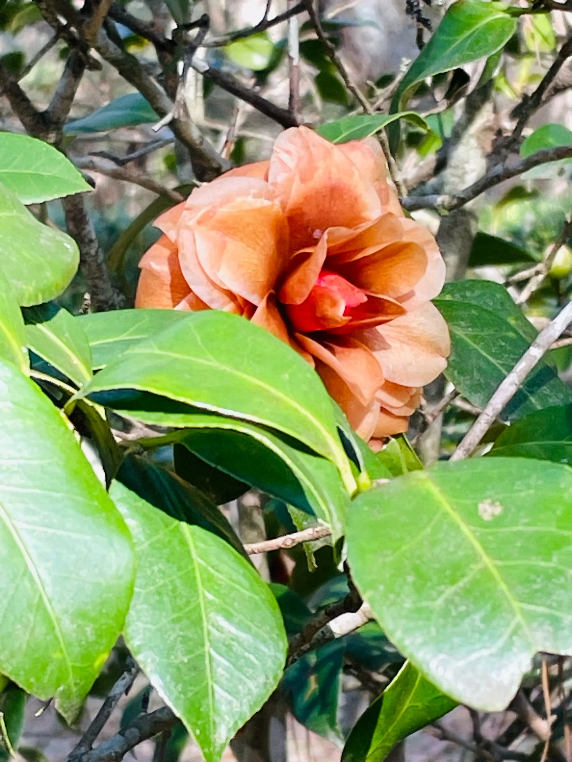 “Listing Along”—Prompts Inspired by Megan McDermott