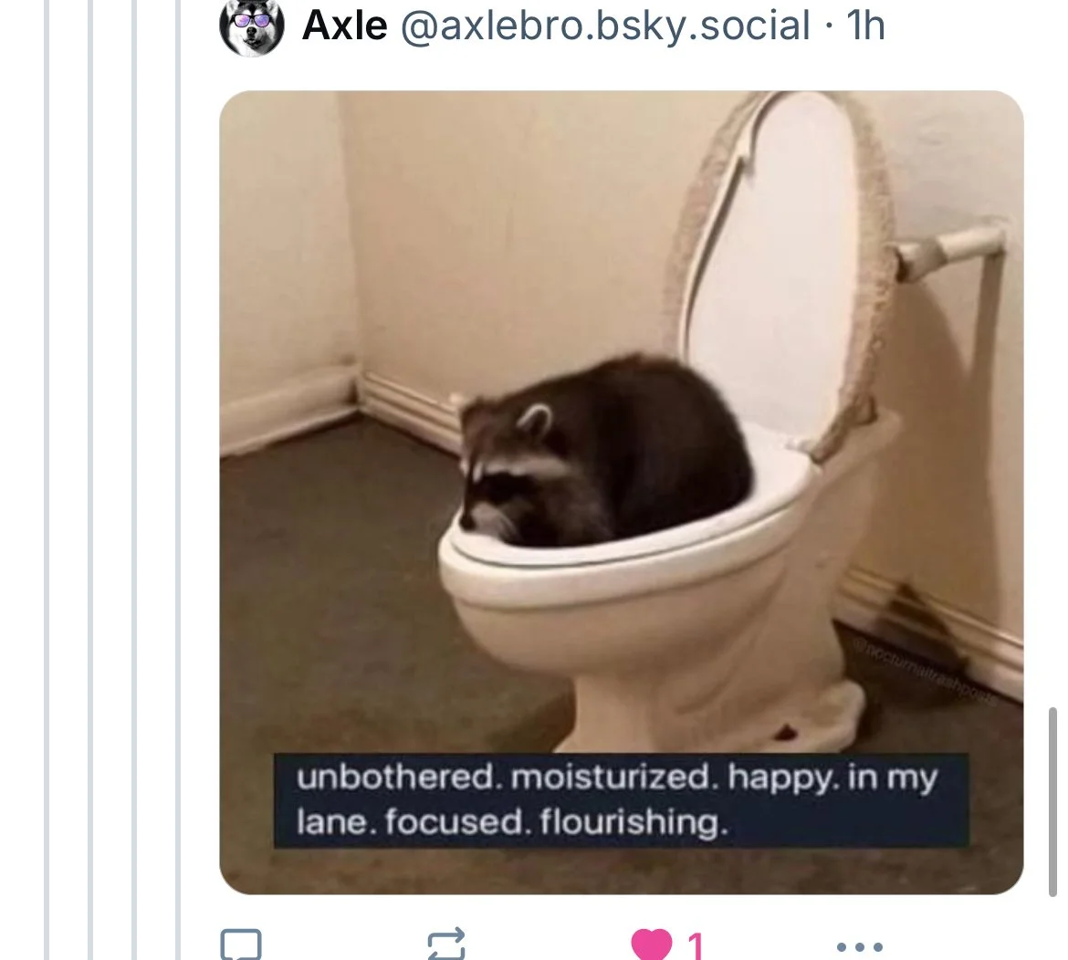 Scams in Publishing and Why I Still Write