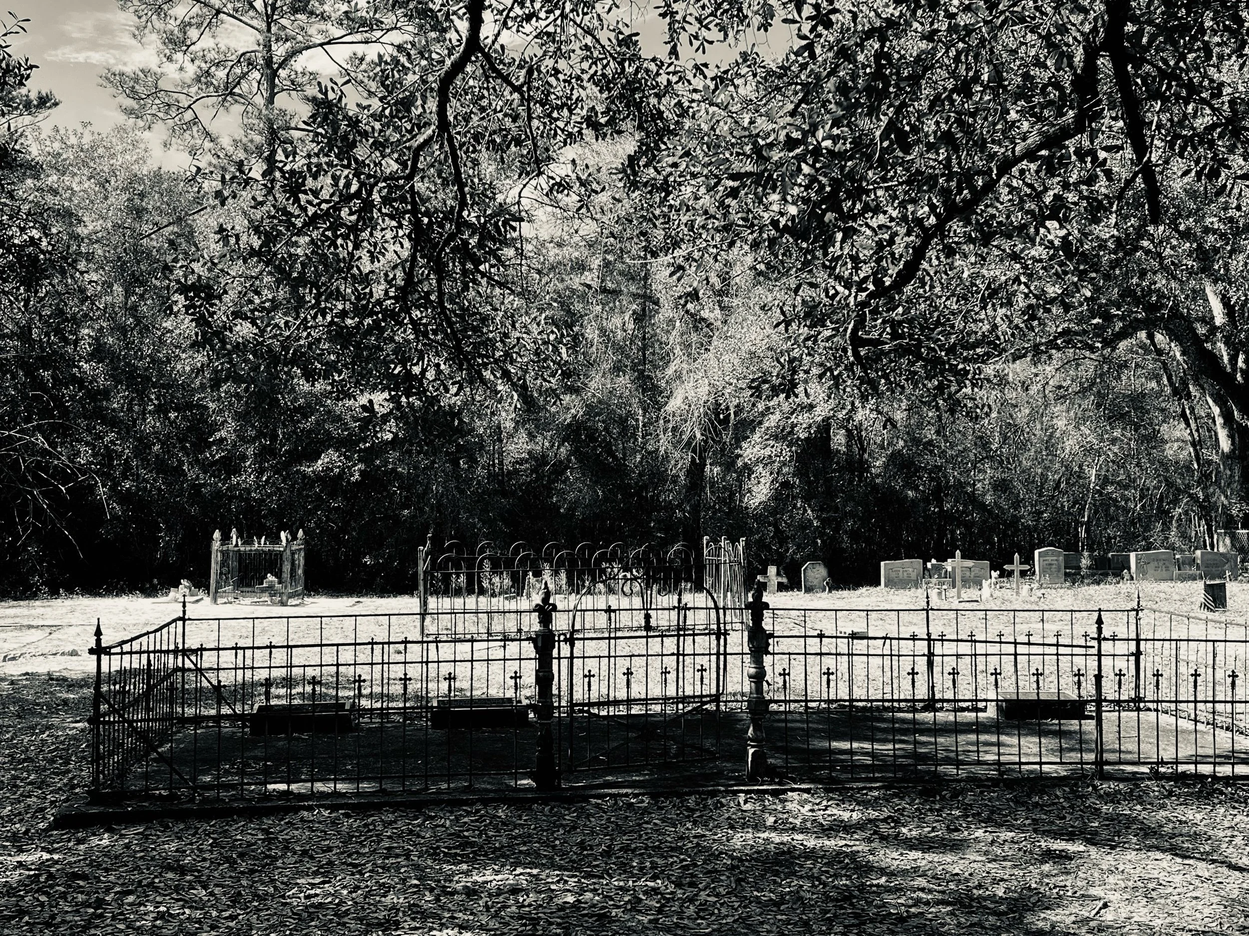 What’s Left—Prompts Inspired by Joseph Fasano 