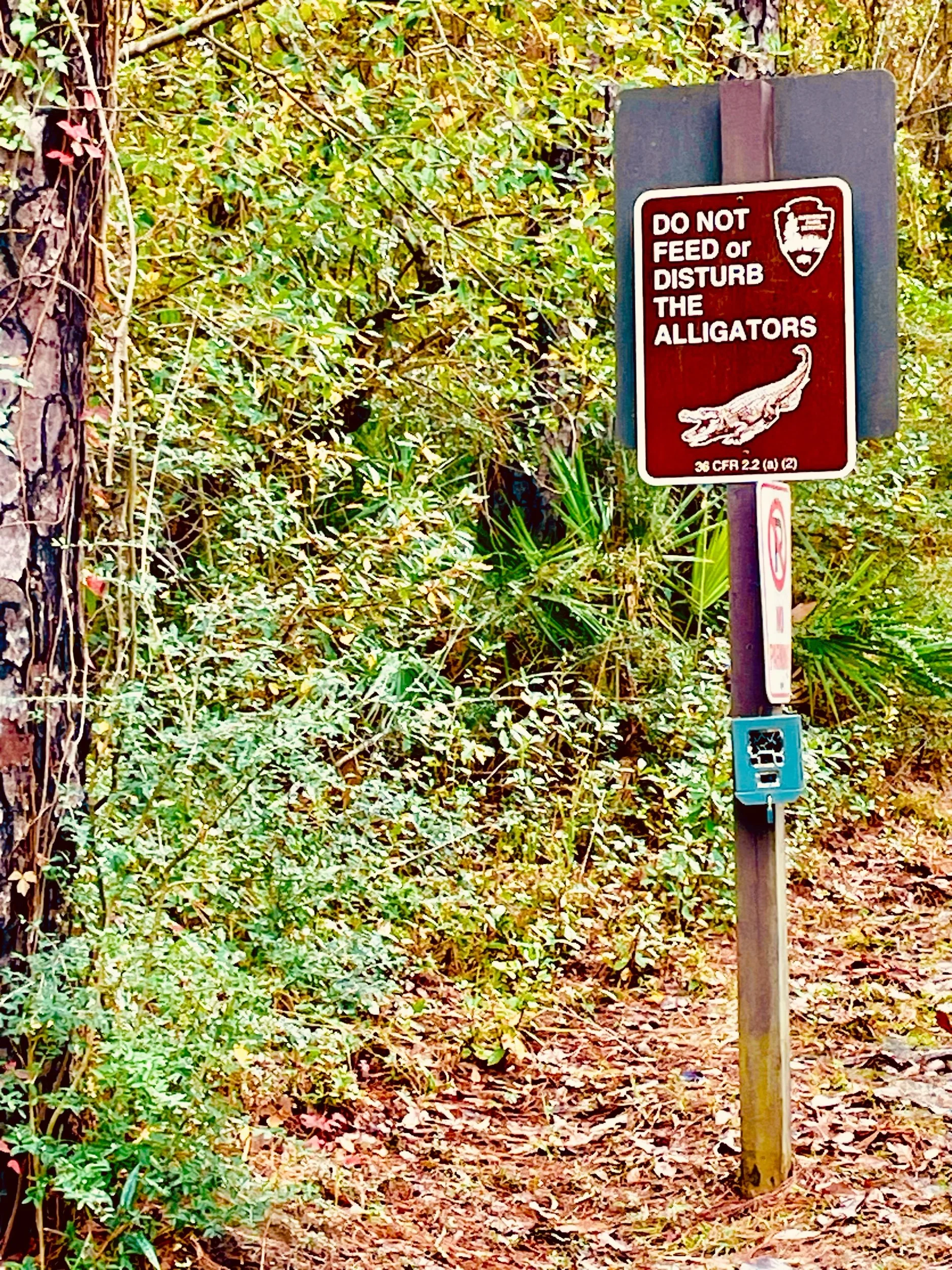 “Signs”—Prompts Inspired by Pile of Garbage