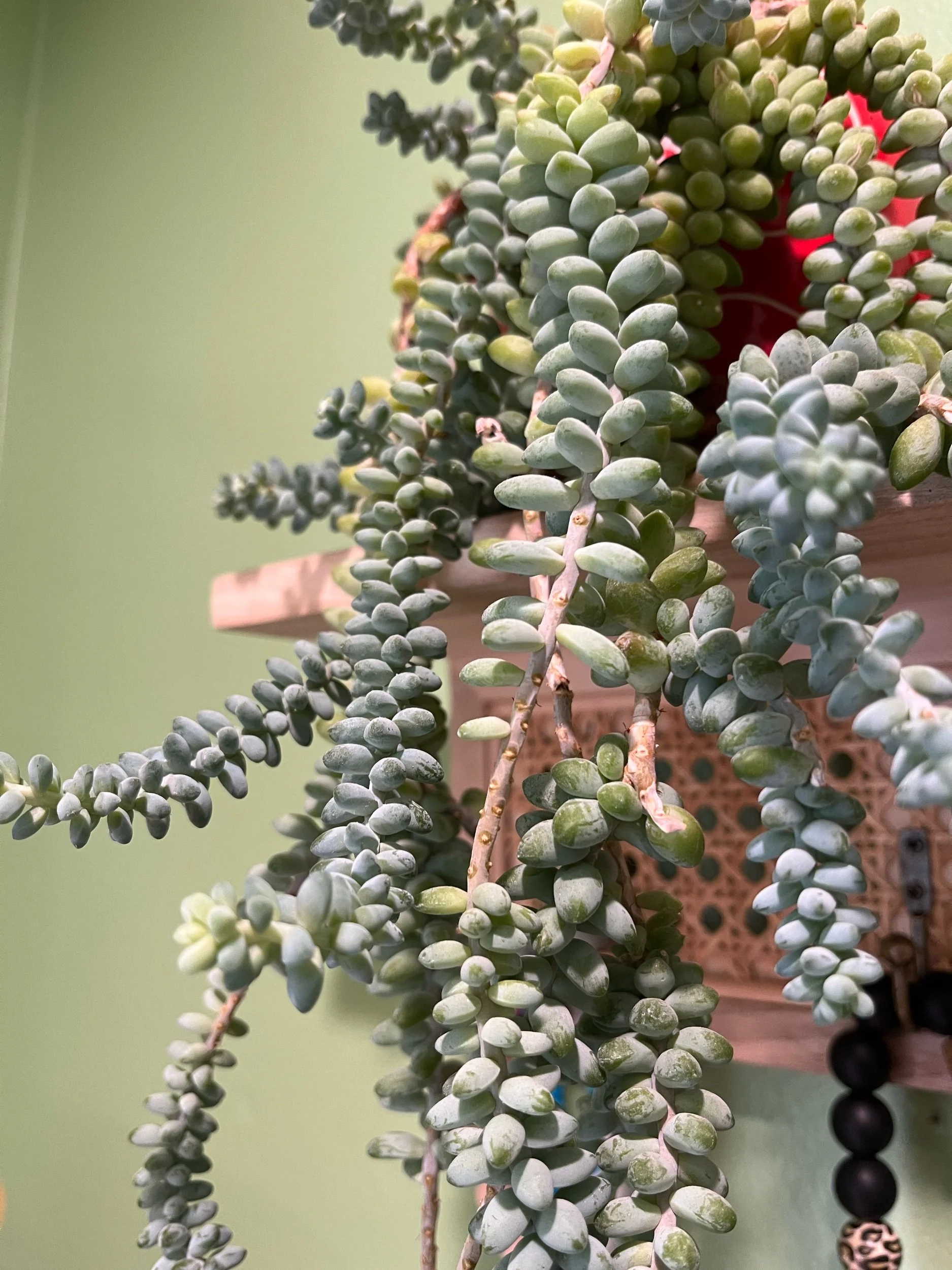 National Poetry Month Starts Tomorrow—Prompts from the NaPoWriMo 