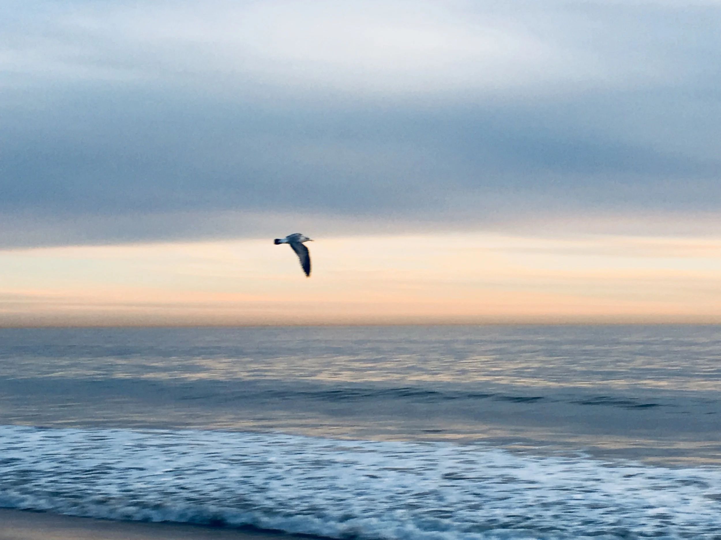 Persistence in Failure to Success—Prompts Inspired by Elaine Ewart