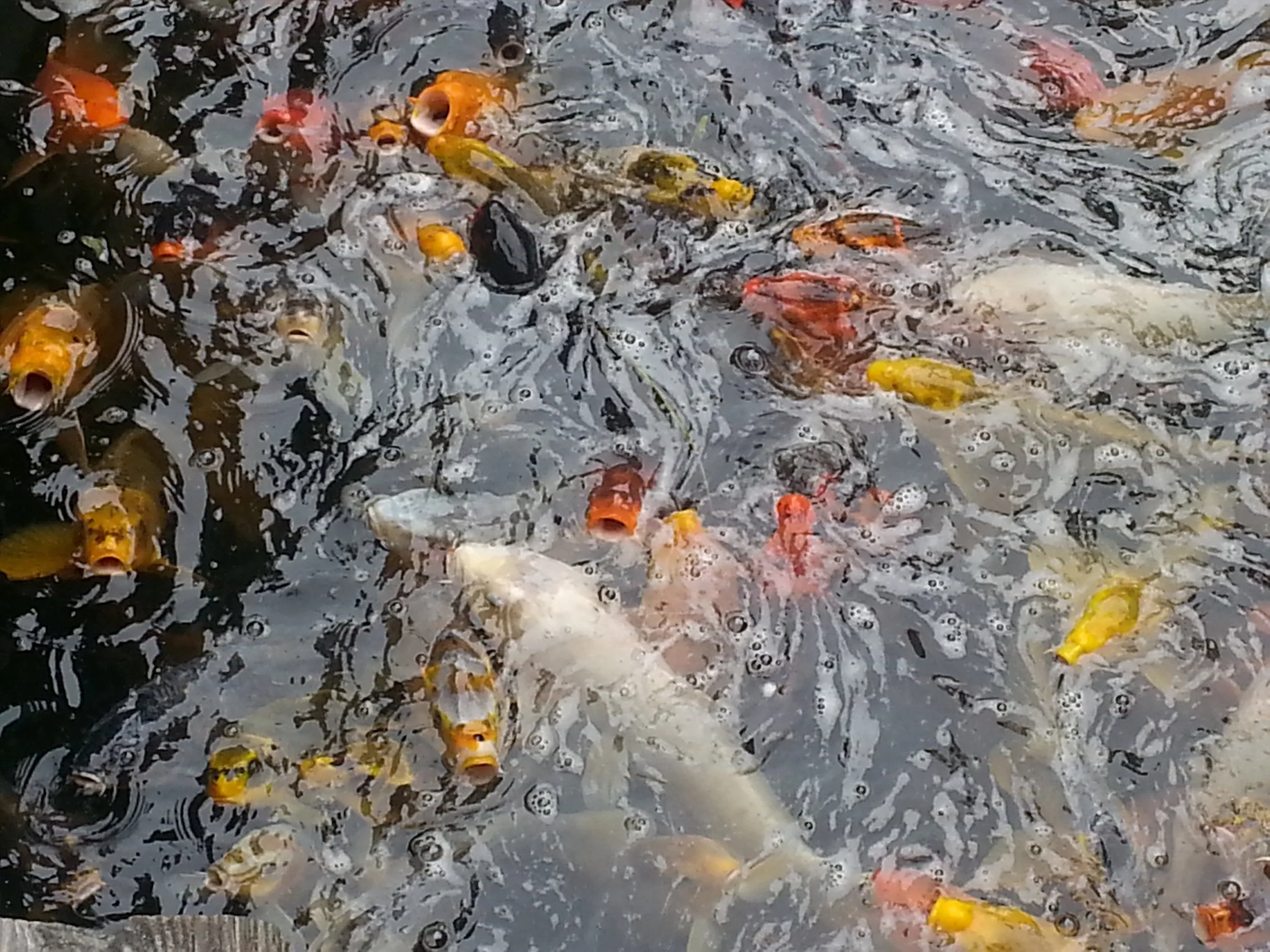 Performers Need an Audience—A Borrowed Prompt