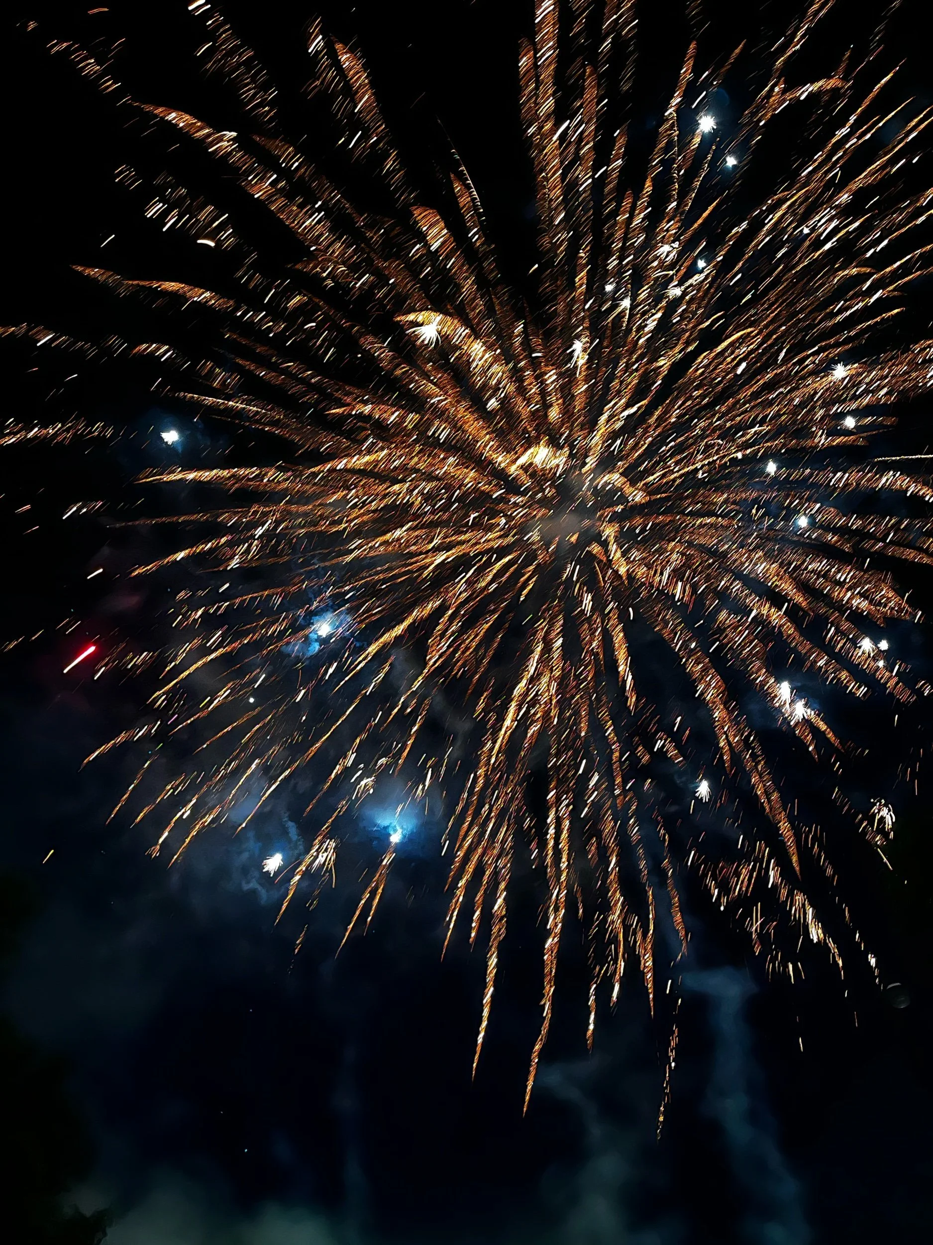 A Different Kind of Life—Prompts Inspired by Naomi Shihab Nye