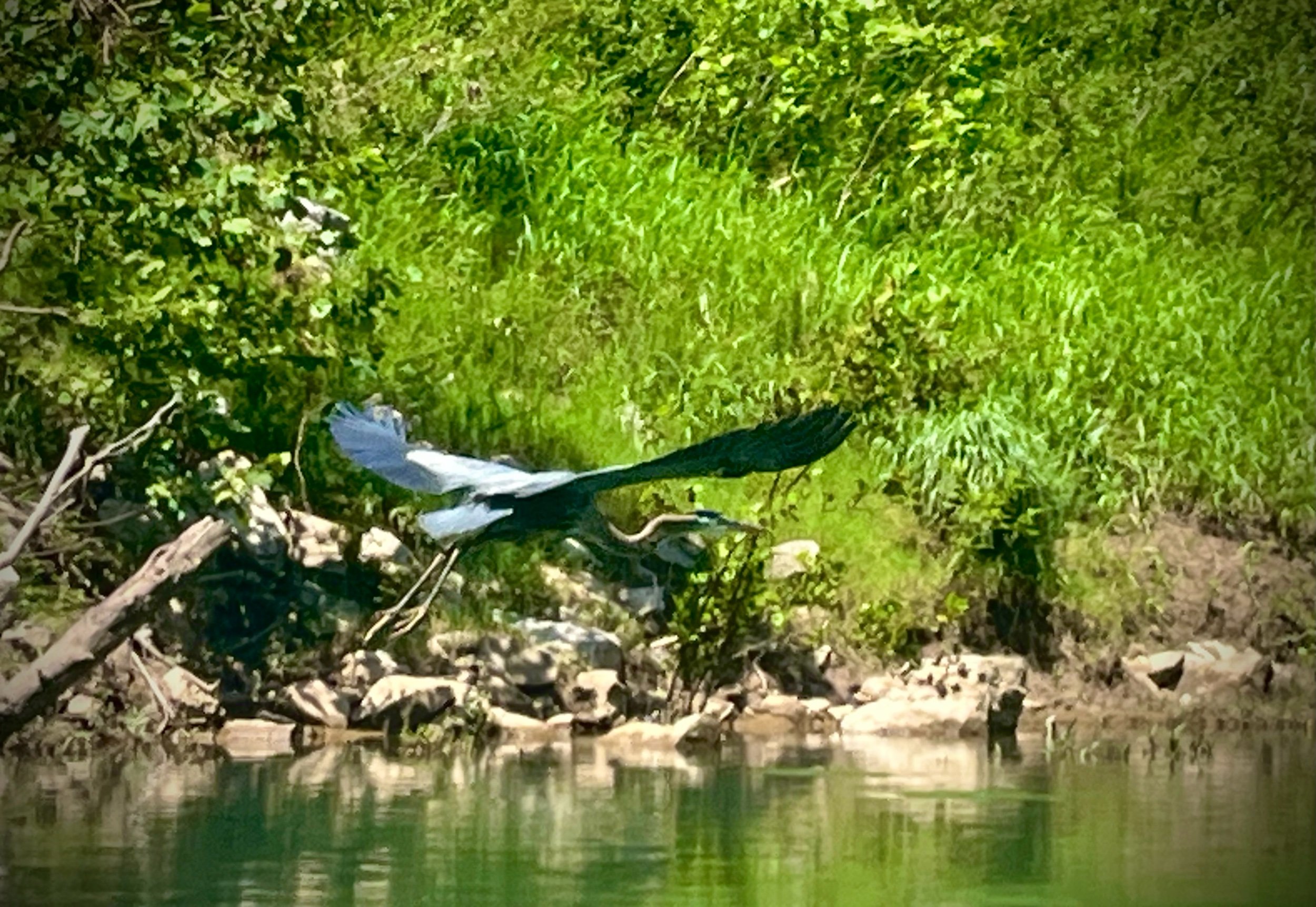 The Beauty Before—Prompts Inspired by Molly Brodak