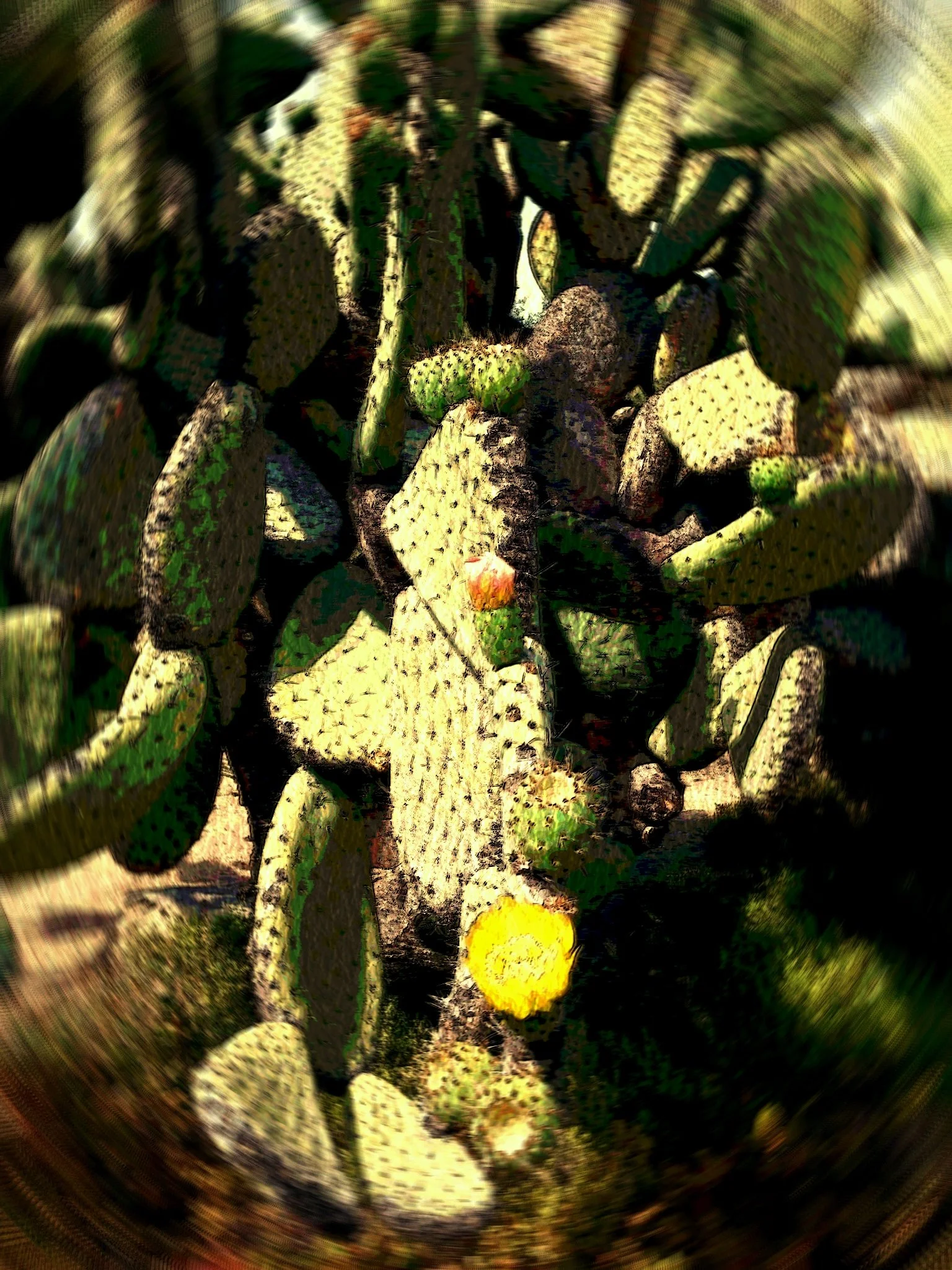 Survival—Prompts Inspired by Andrea Gibson 