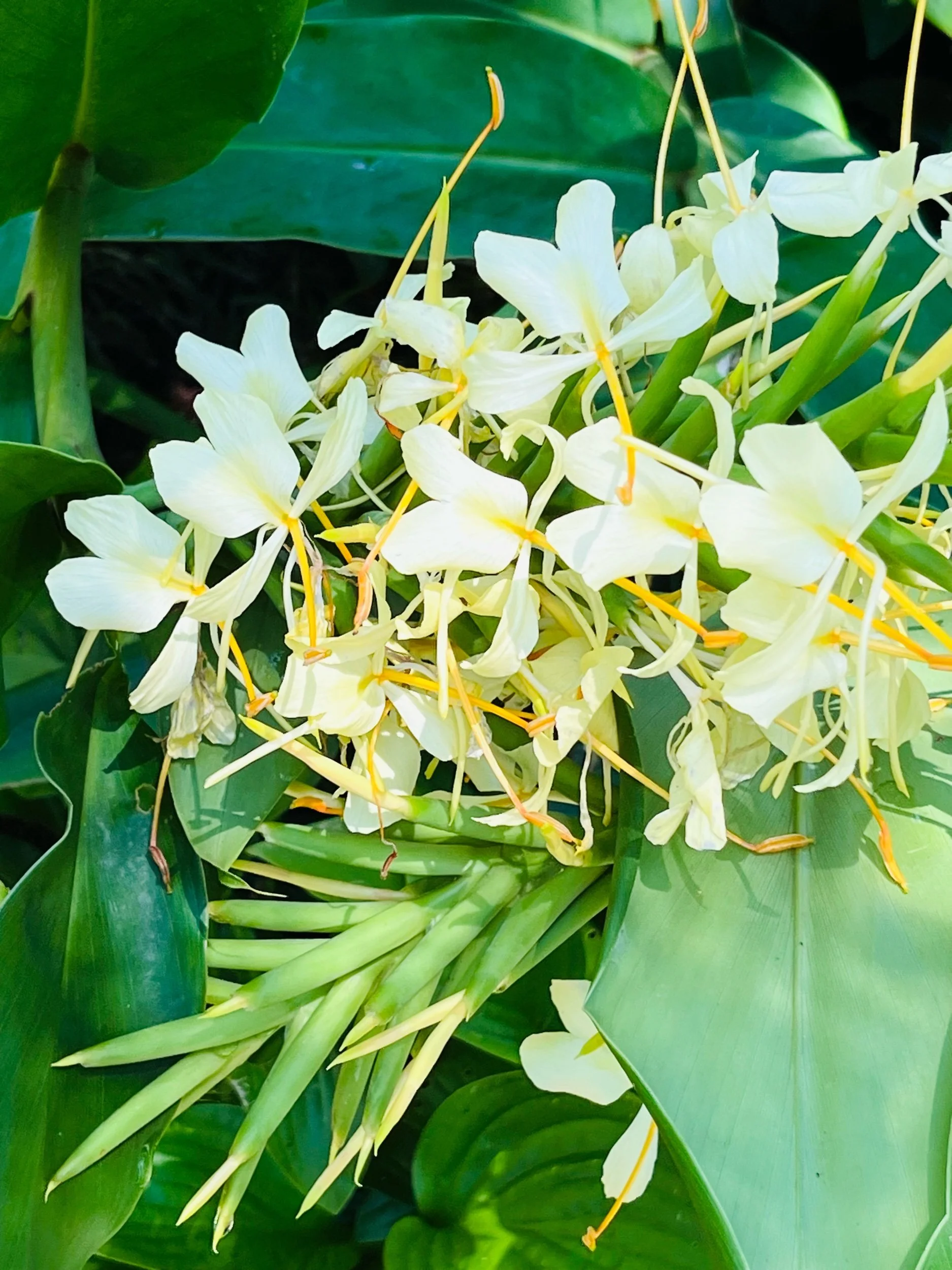 Sealey Challenge—Prompts Inspired by Yusuf Komunyakaa