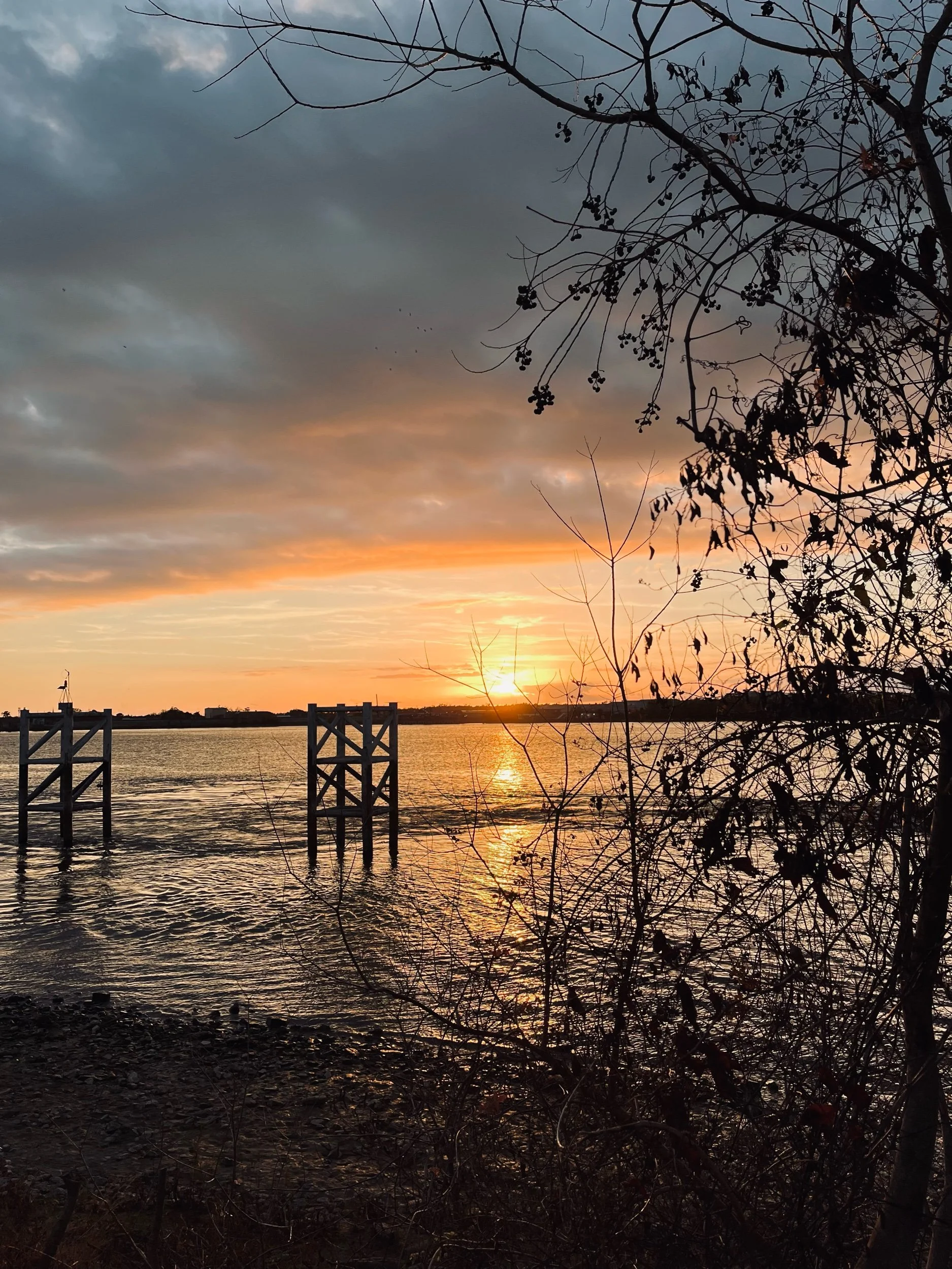 Topical—Prompts Inspired by Isaac Pickell