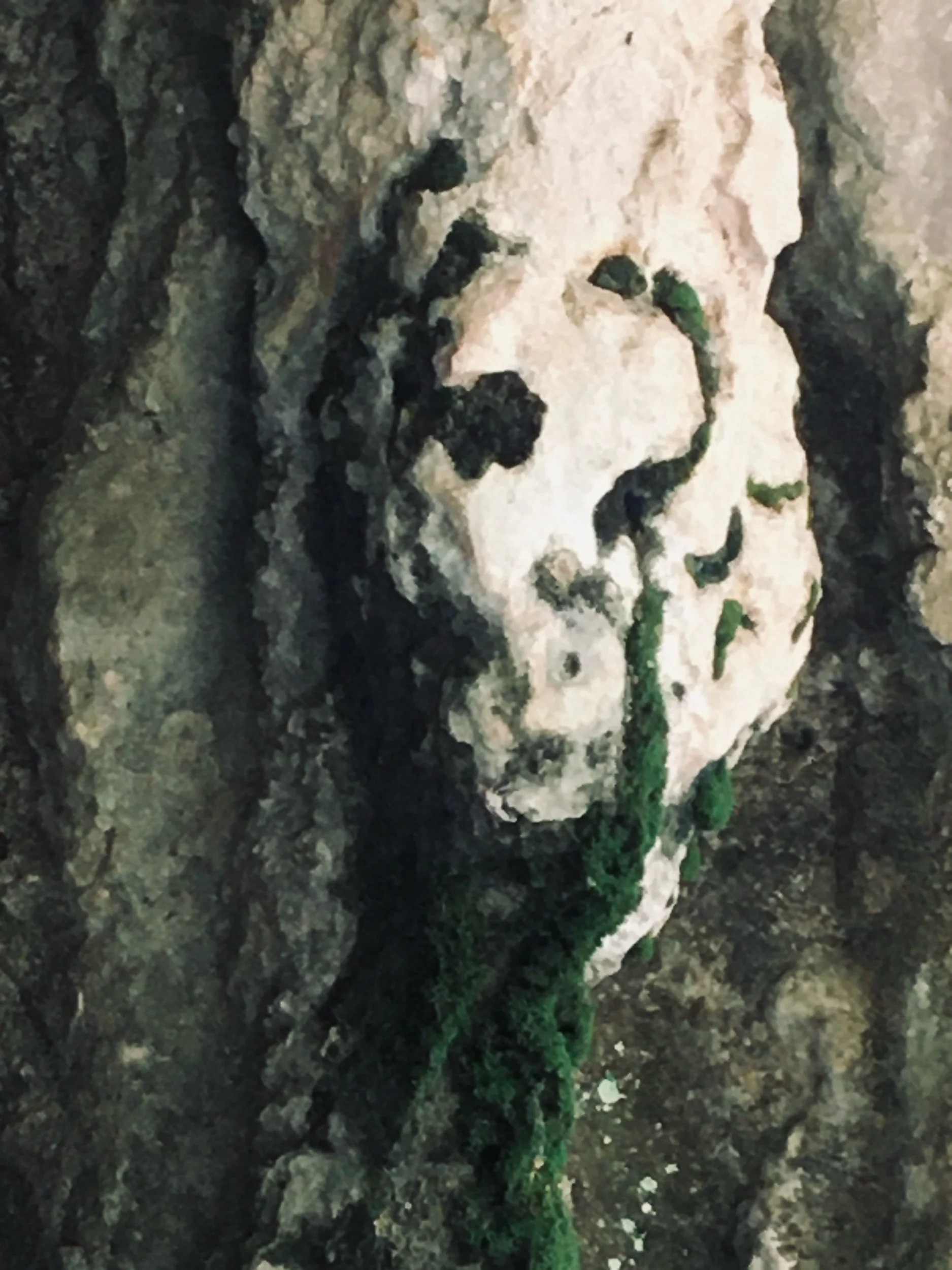 Seeing and Naming—Prompts Inspired by Fanny Howe