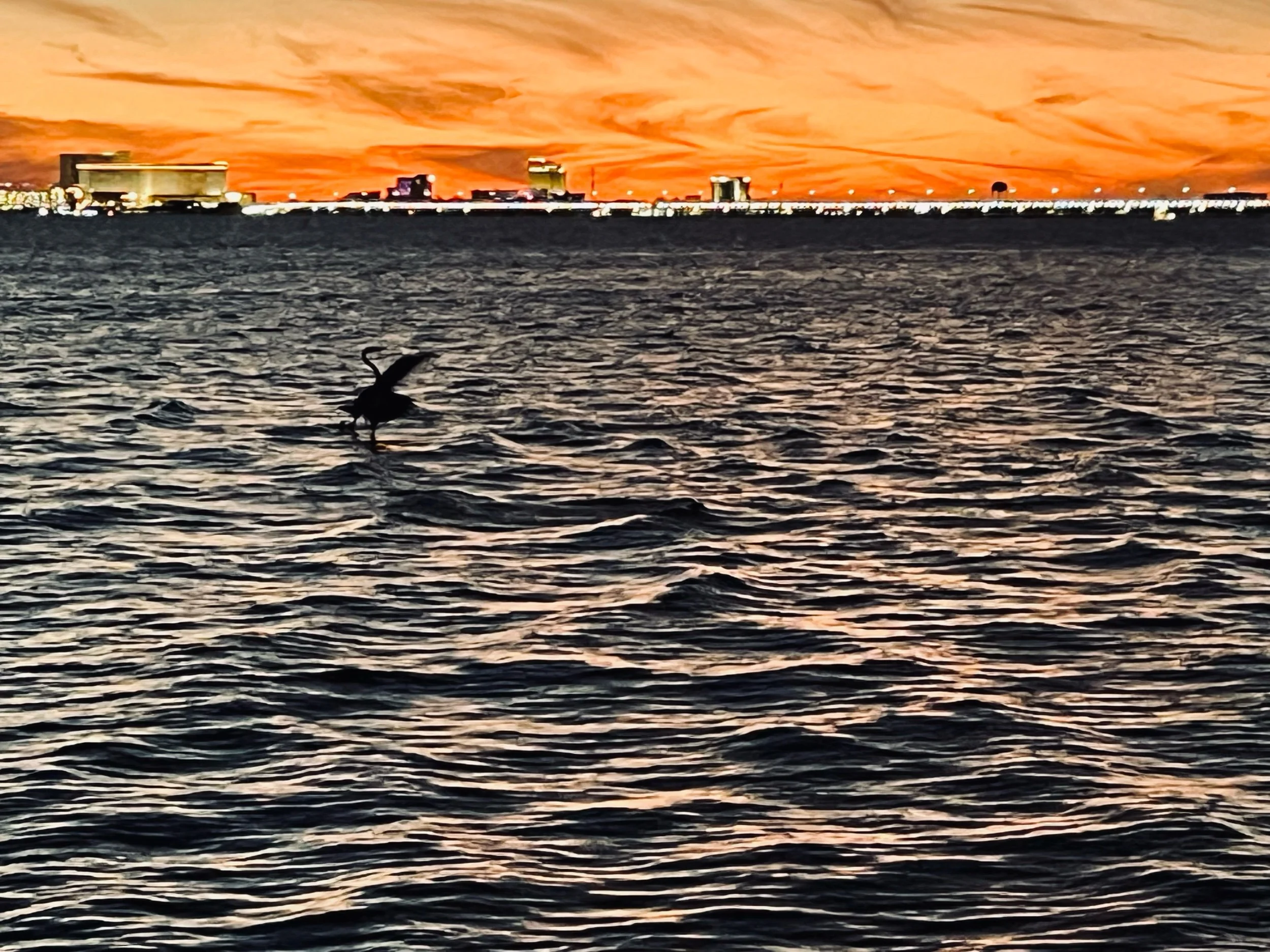 Escape artist—Prompts Inspired by Mohammed Moussa