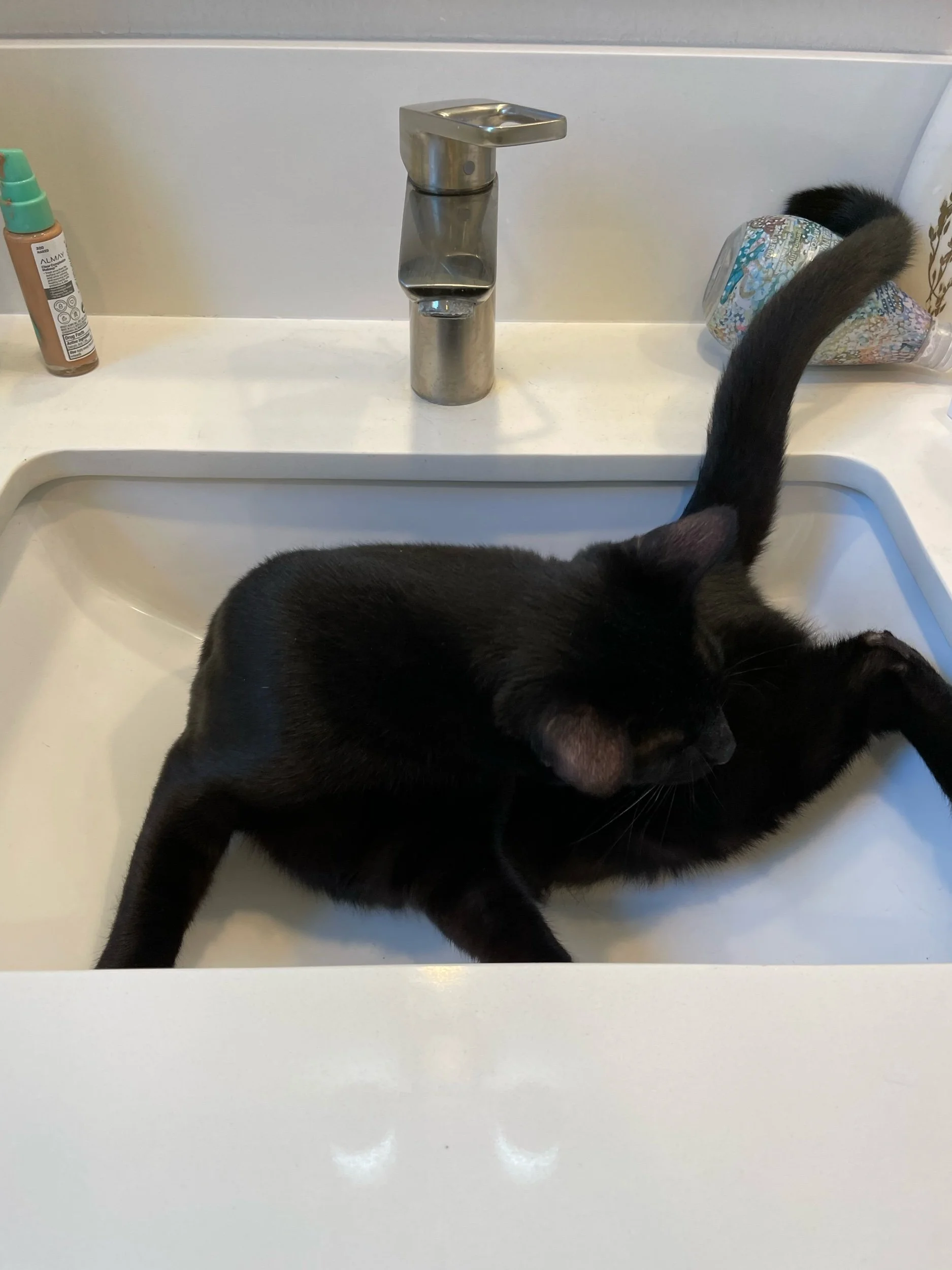 Love Your Work—Prompts Inspired by the NE Ohio Regional Sewer District social media account