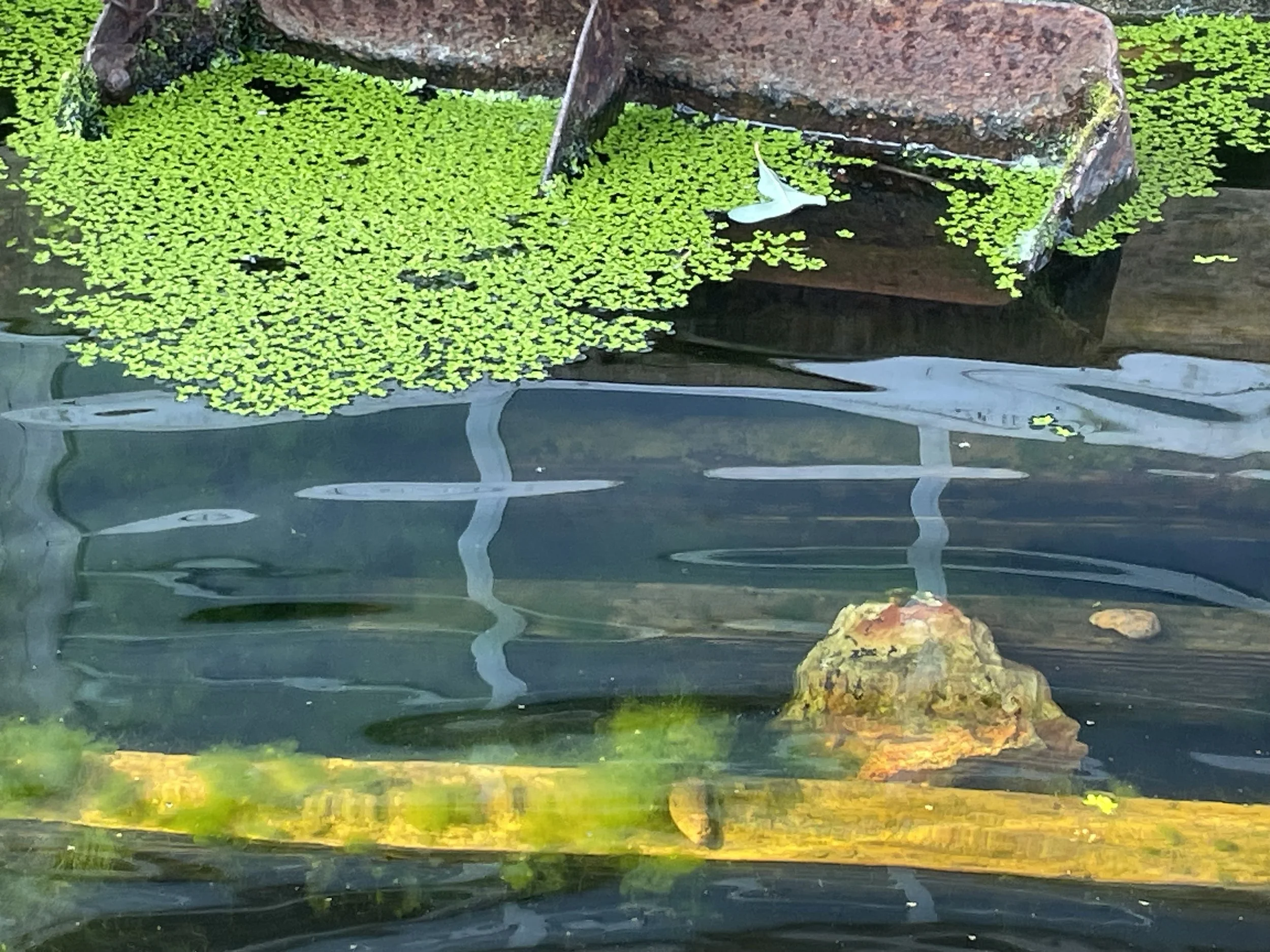 New Gods—Prompts Inspired by Todd Dillard