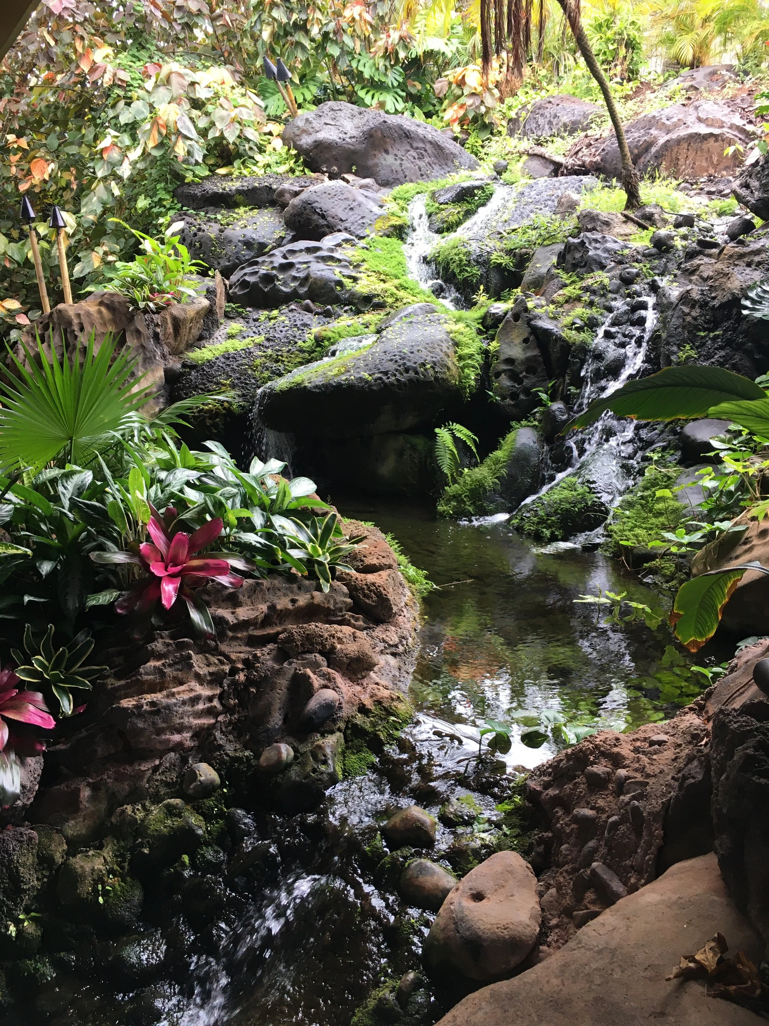 Abecedarian of Joys—Prompts Inspired by Arielle Hebert