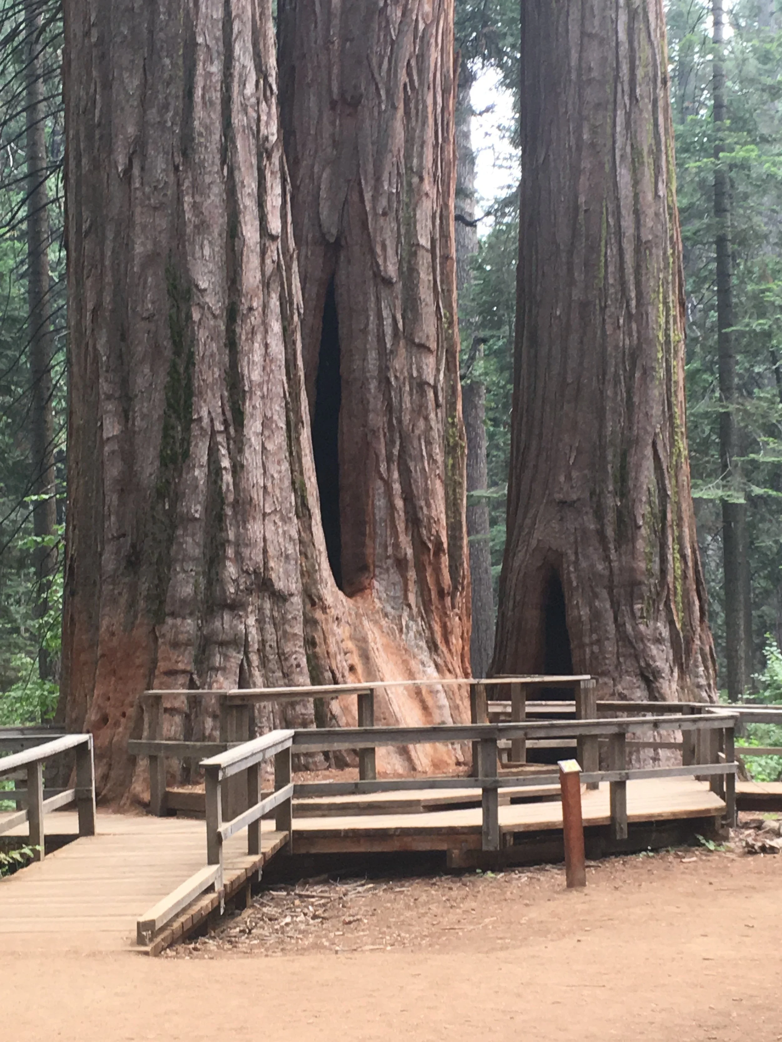 “Even when it breaks”—Prompts Inspired by Kelly Grace Thomas