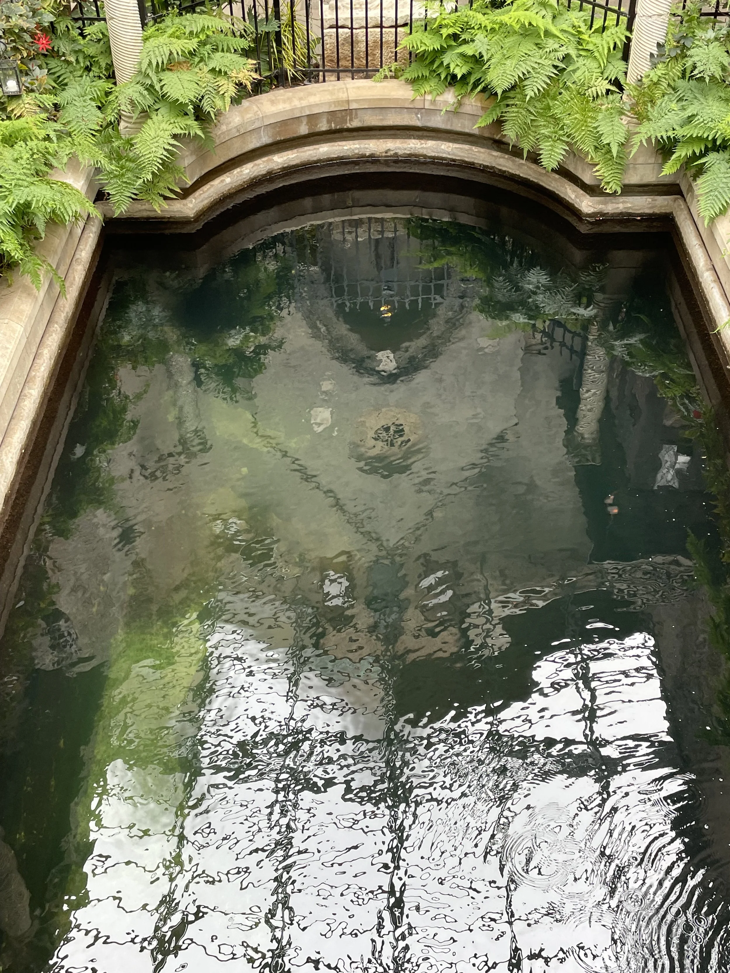 Multiplying Gravities—Prompts Inspired by Maya C. Popa 