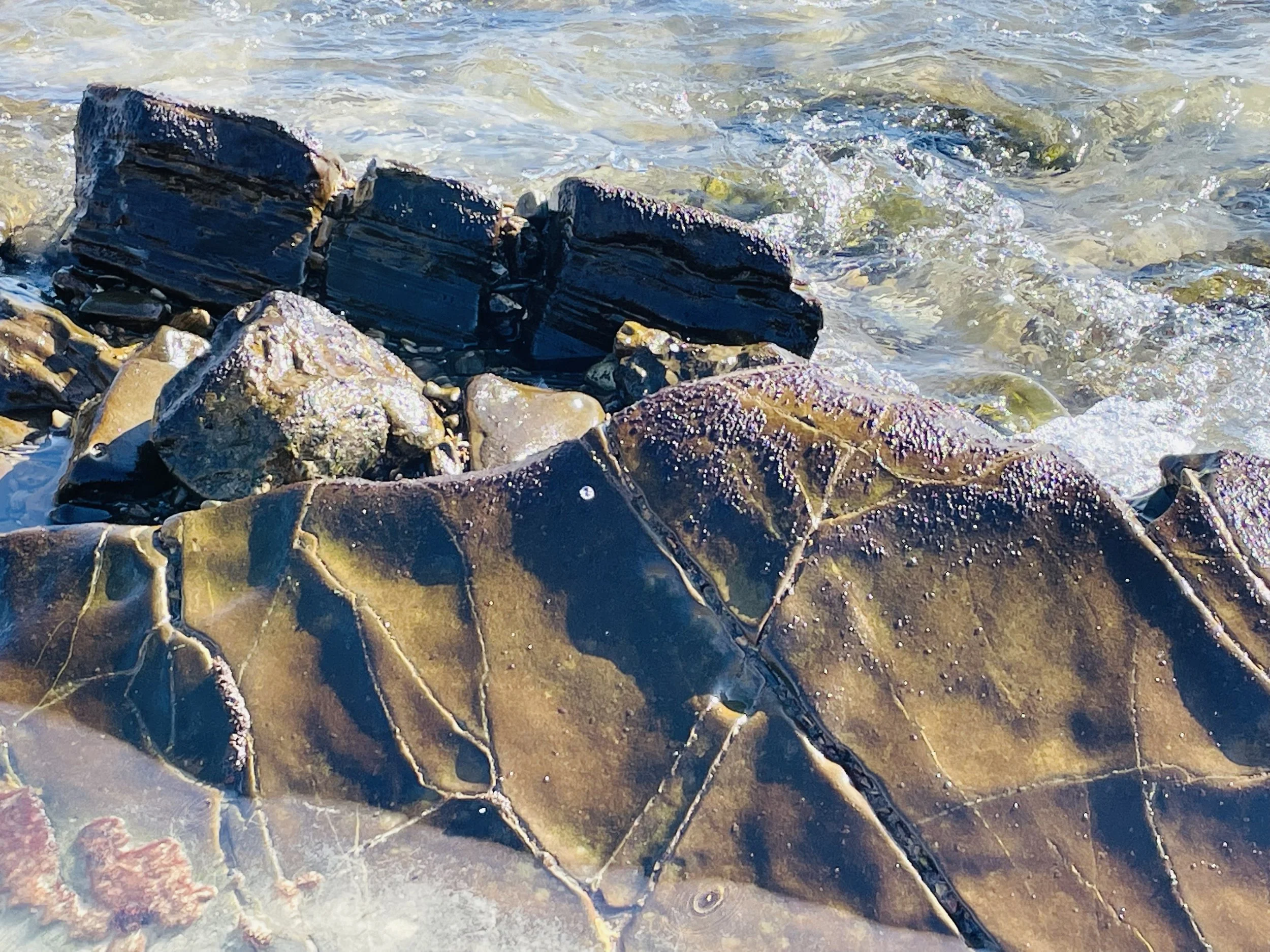 A Missed Launch—Prompts Inspired by Tracey Knapp