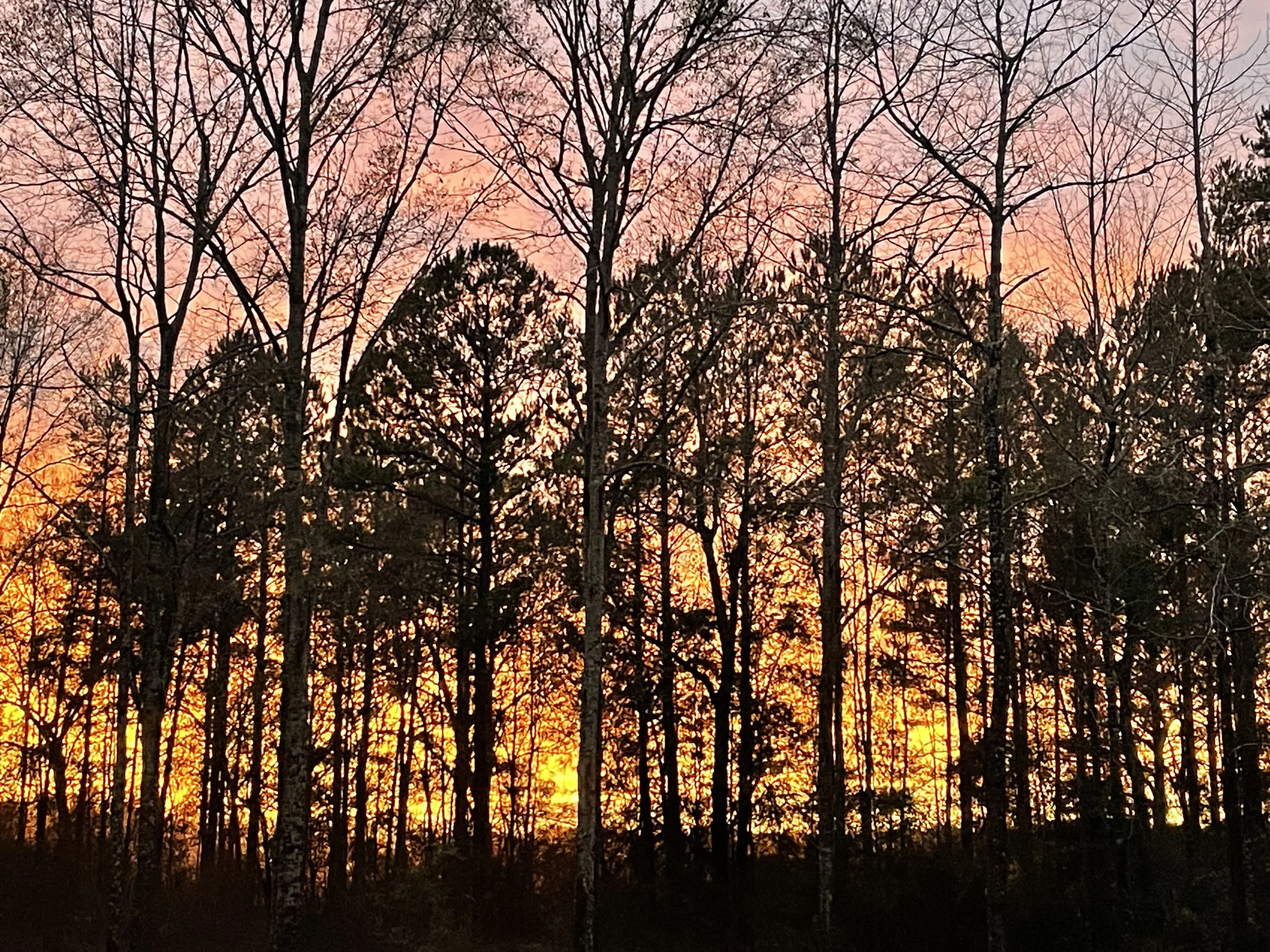 “What is Not”—Prompts Inspired by Malia Maxwell