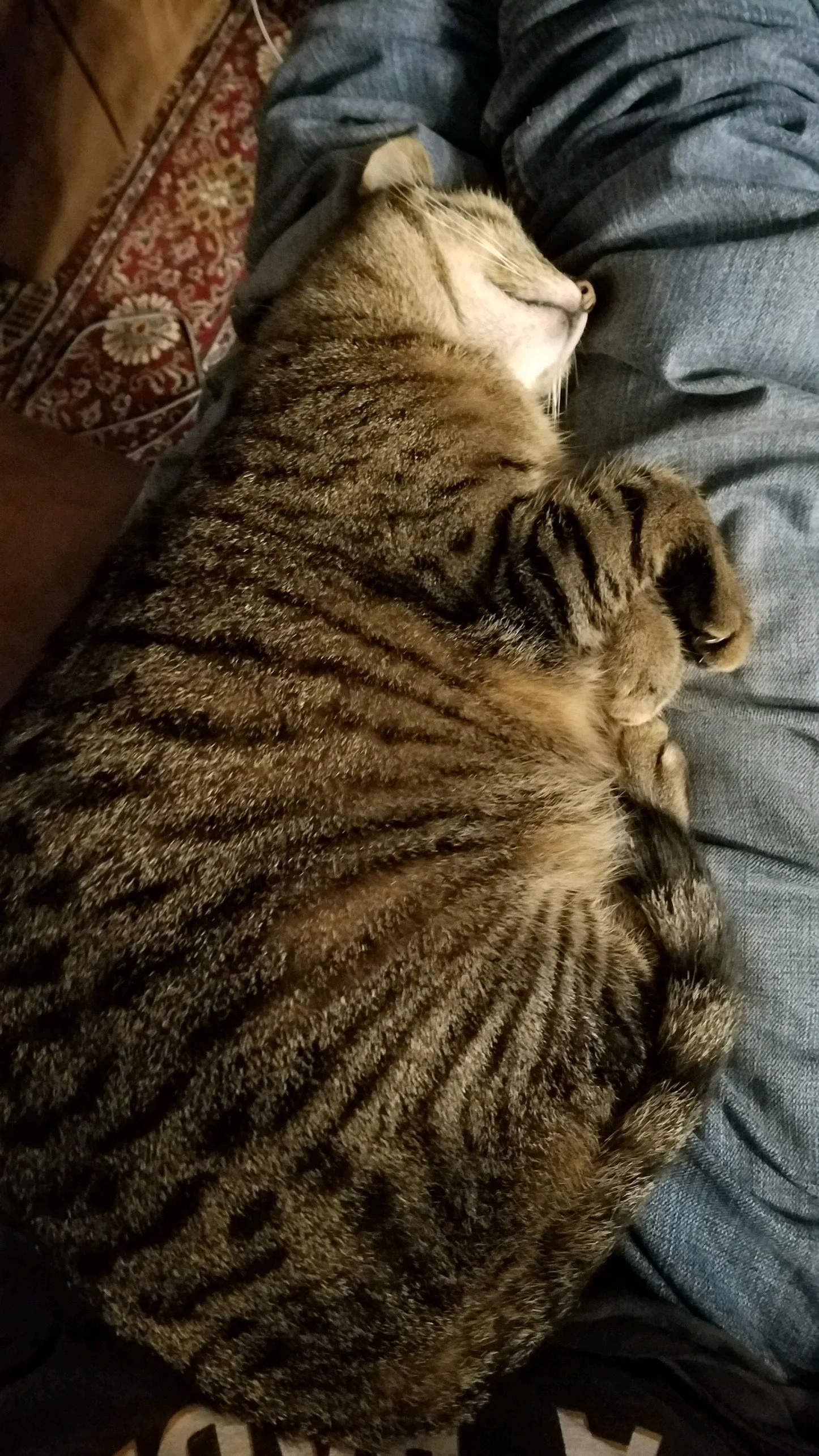 “We Turn Together”—Prompts Inspired by Ellen Bass