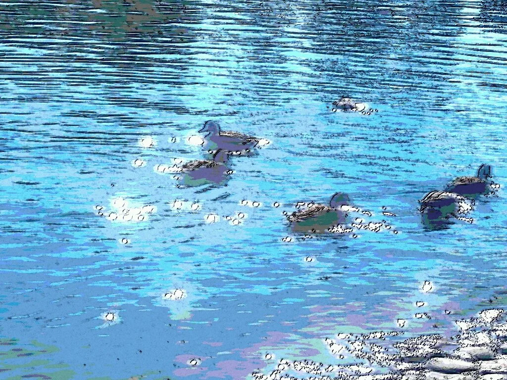 “thin light on water”—Prompts Inspired by Linda Gregg