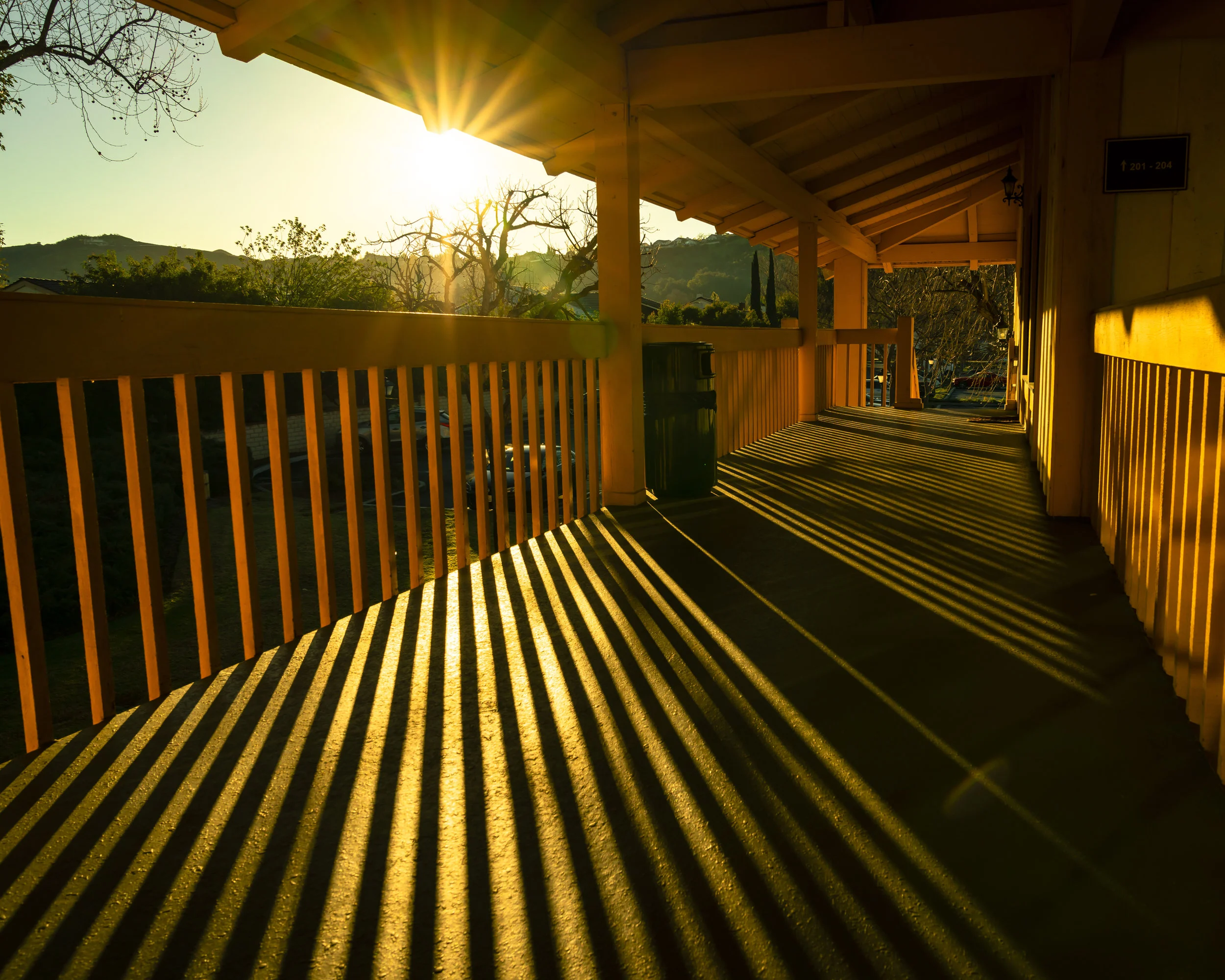Fence Rays.jpg