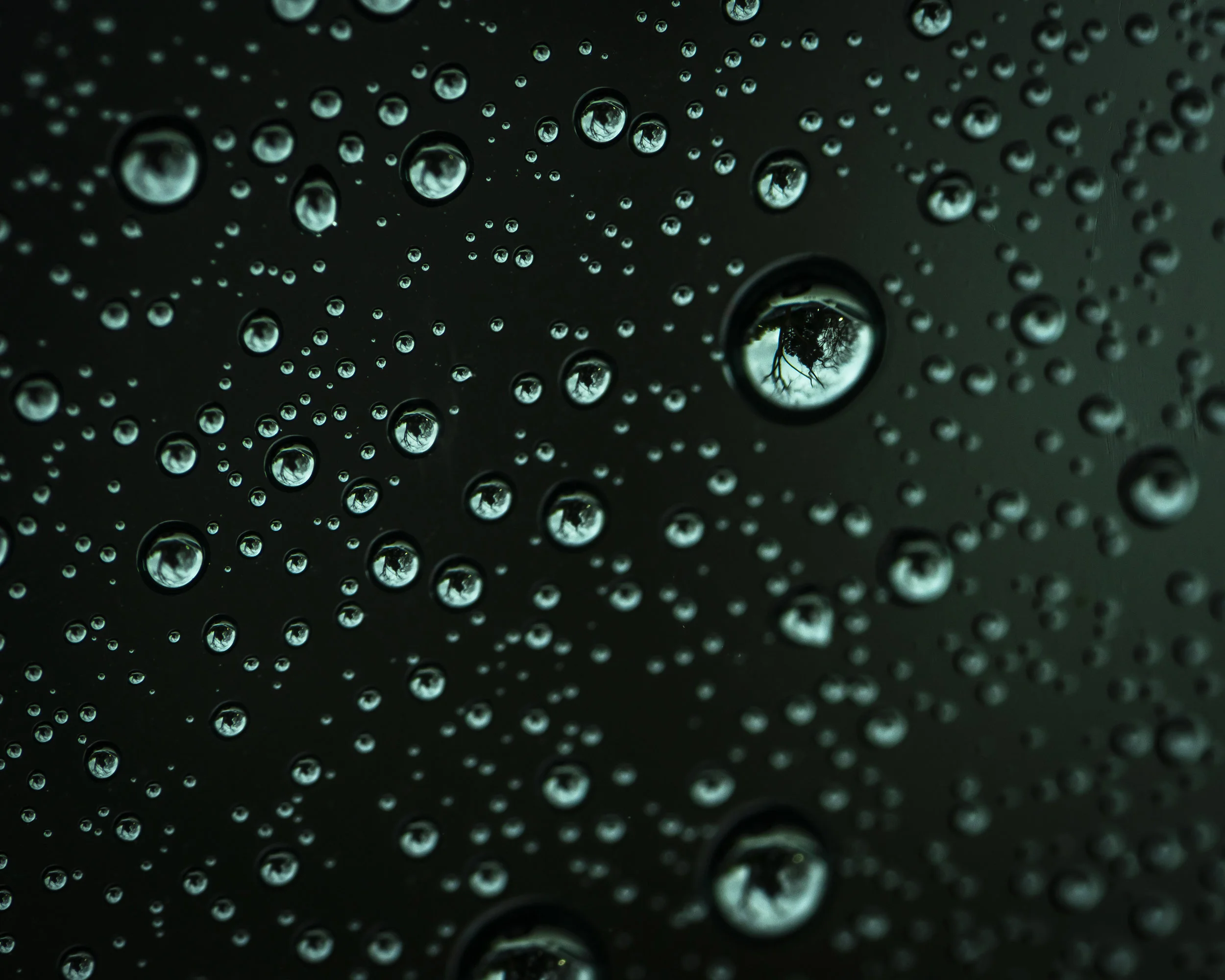 Driver Side Rain Drops.jpg