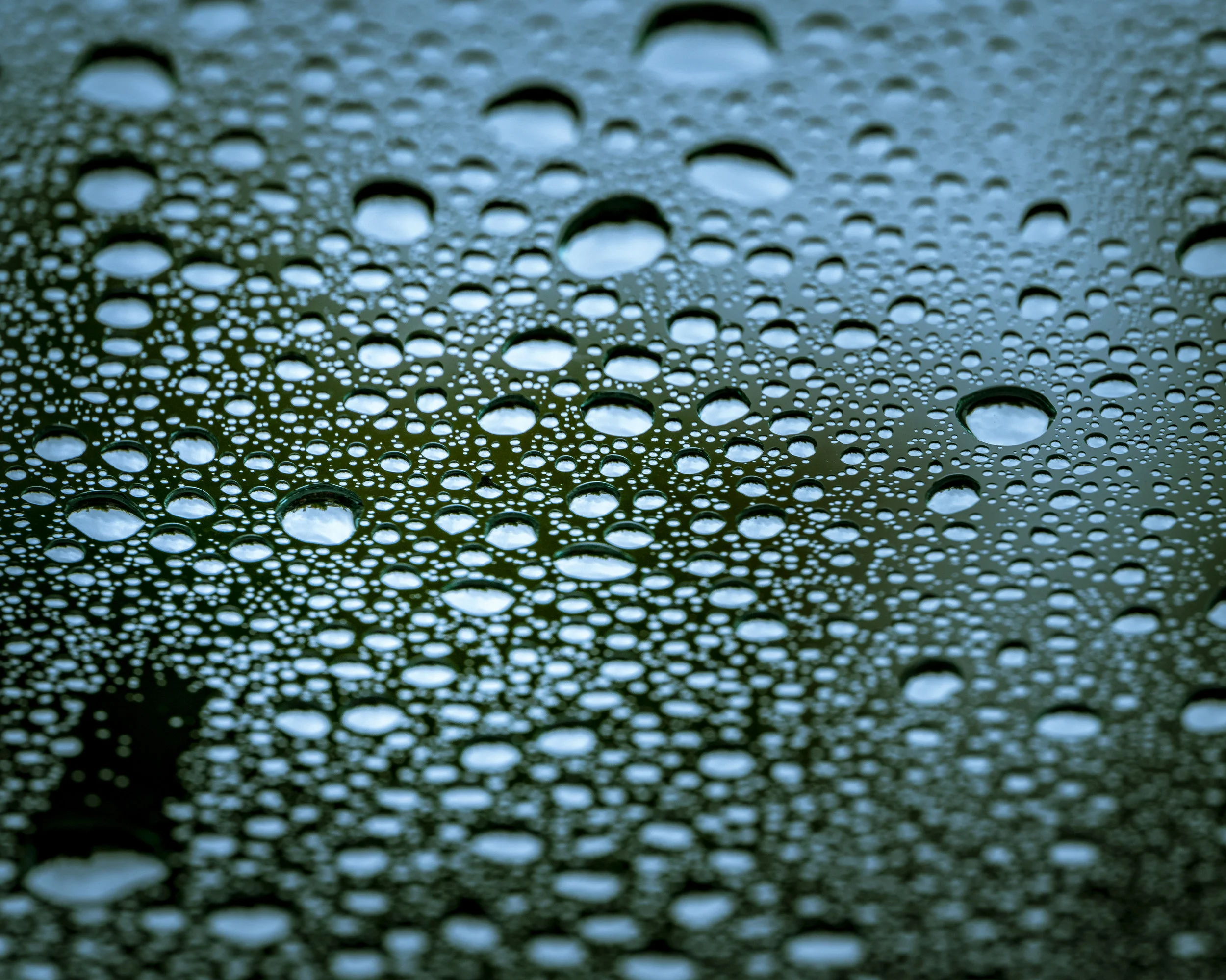 More Water Drops.jpg