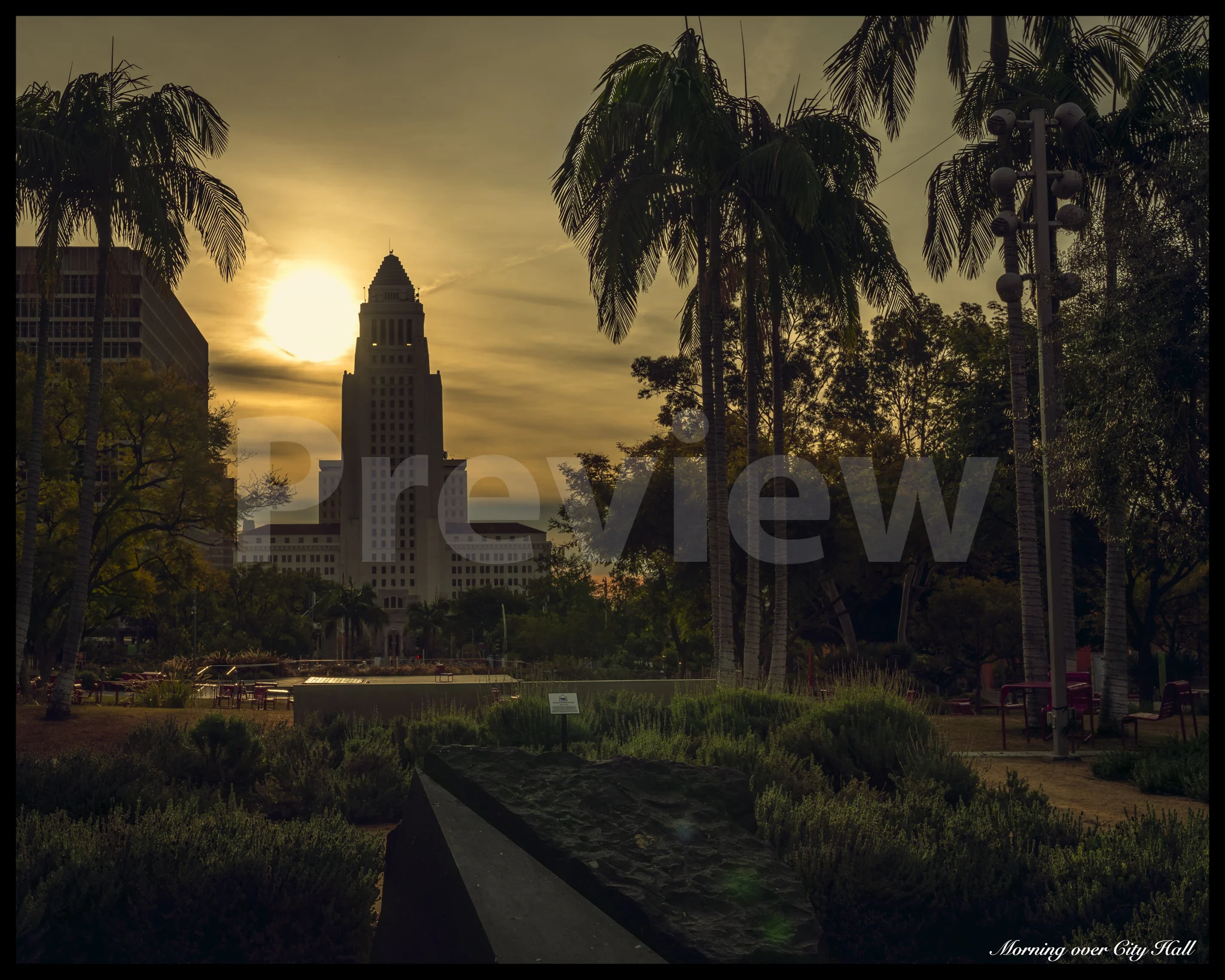Morning over City Hall Preview.jpg