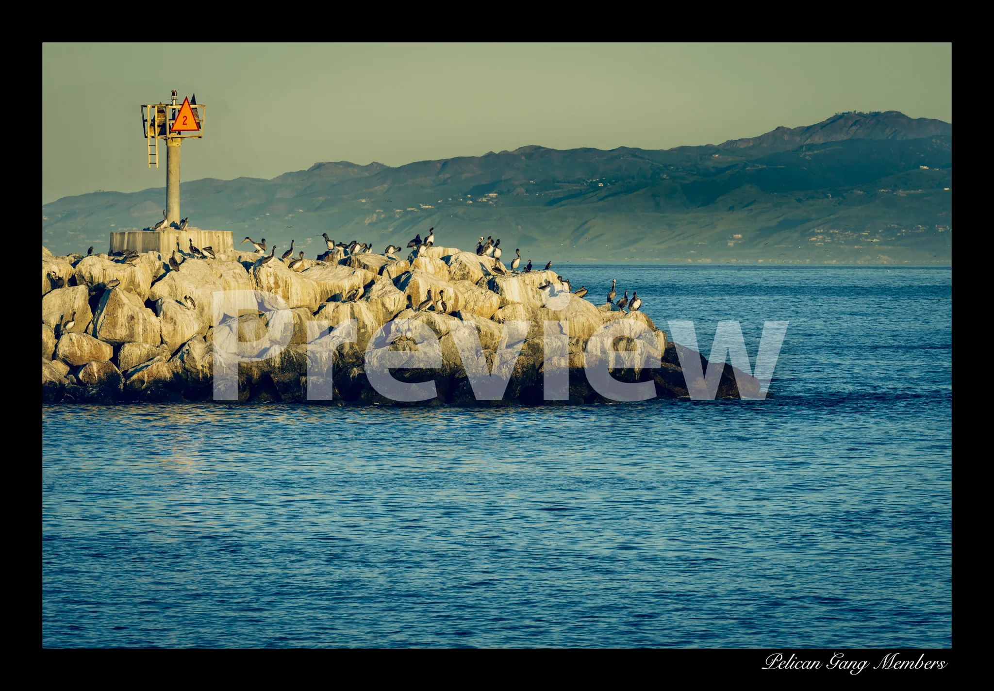 Pelican Gang Members preview.jpg
