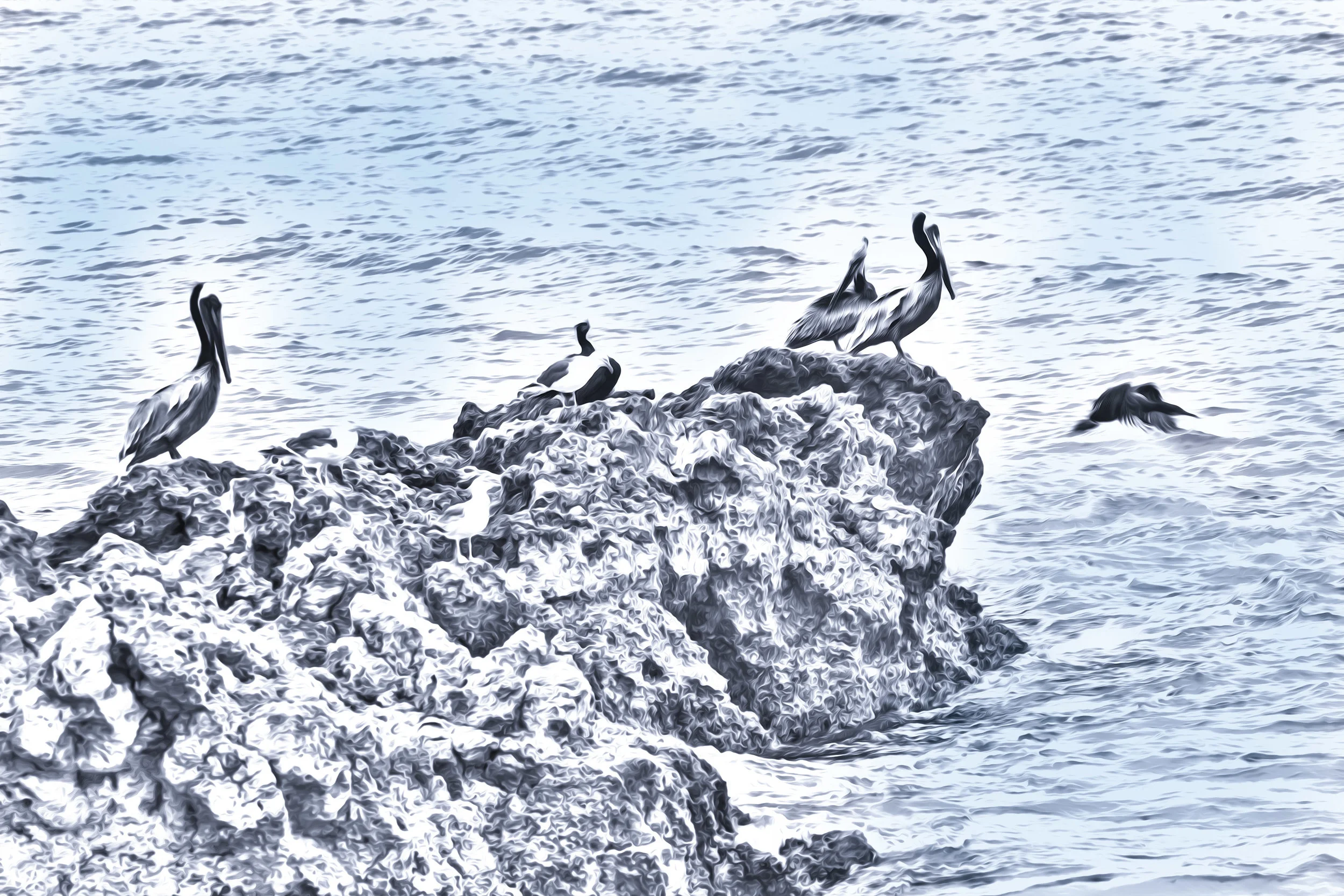 Birds on a rock in blue.jpg