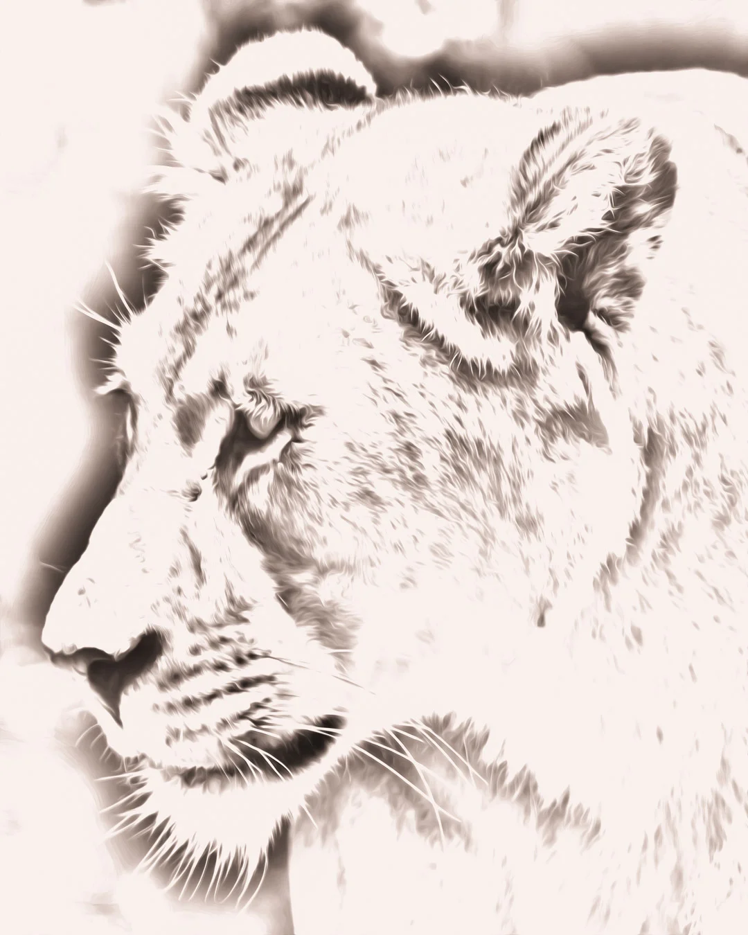 Stylized Female Lion Portrait.jpg