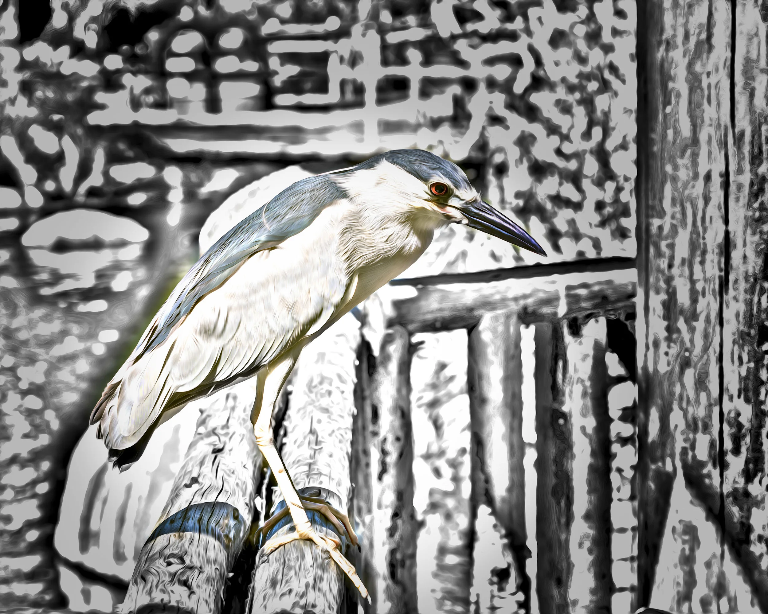 Stylized Egret Beggar.jpg