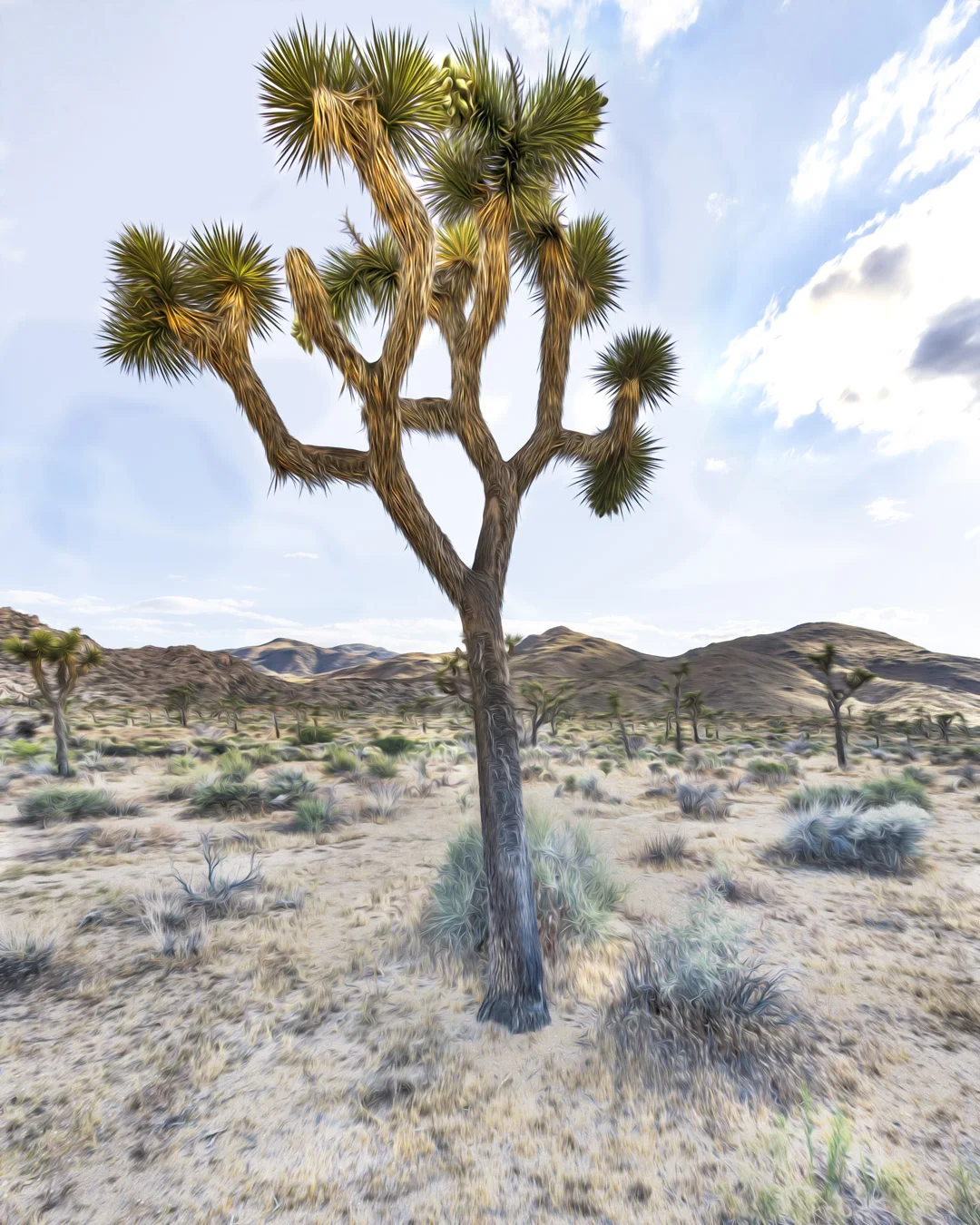 Joshua Tree in Joshua Stylized.jpg