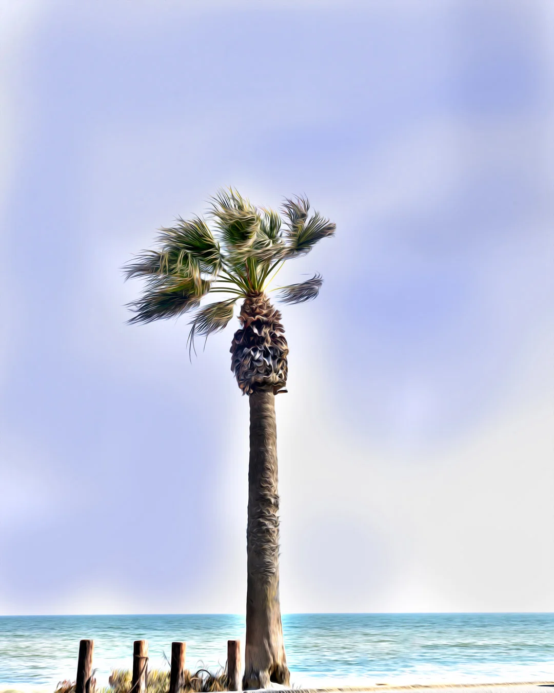 Lonely Palm Oil.jpg