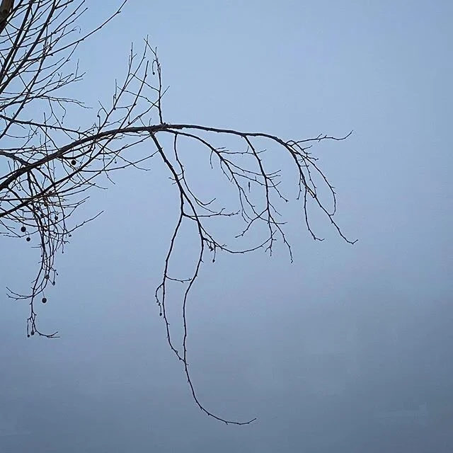 I love foggy days.
#minimalism #fog #lake #artphotography