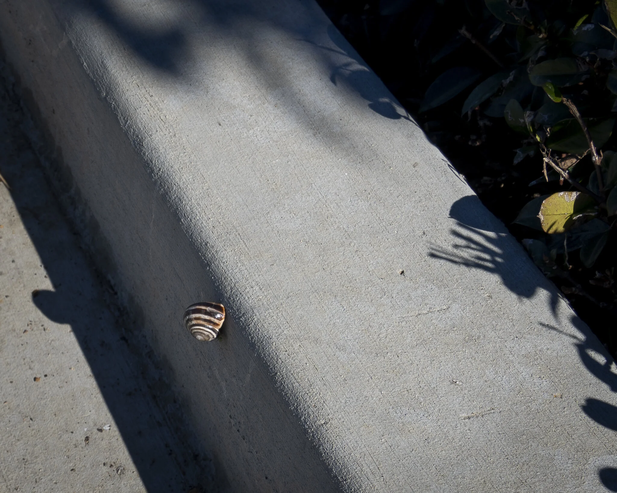 Hanging Out-3.jpg