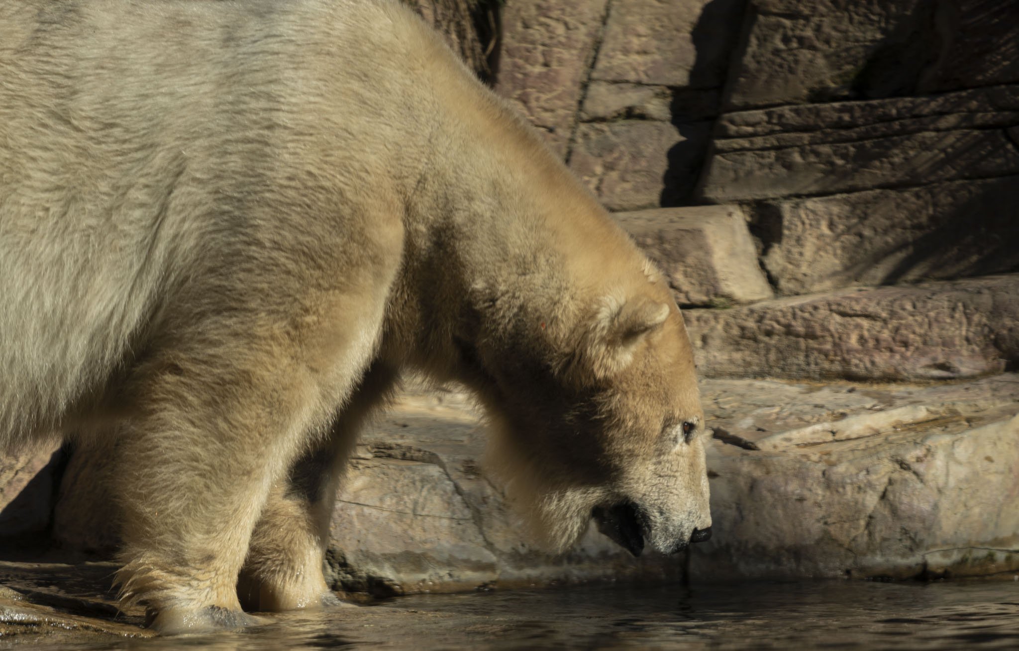 Zoo Day-4.jpg