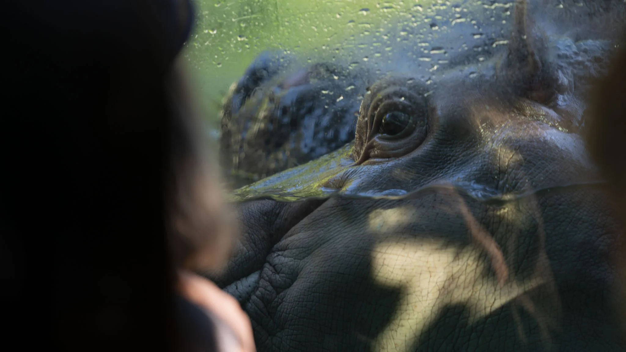 Zoo Day-2.jpg