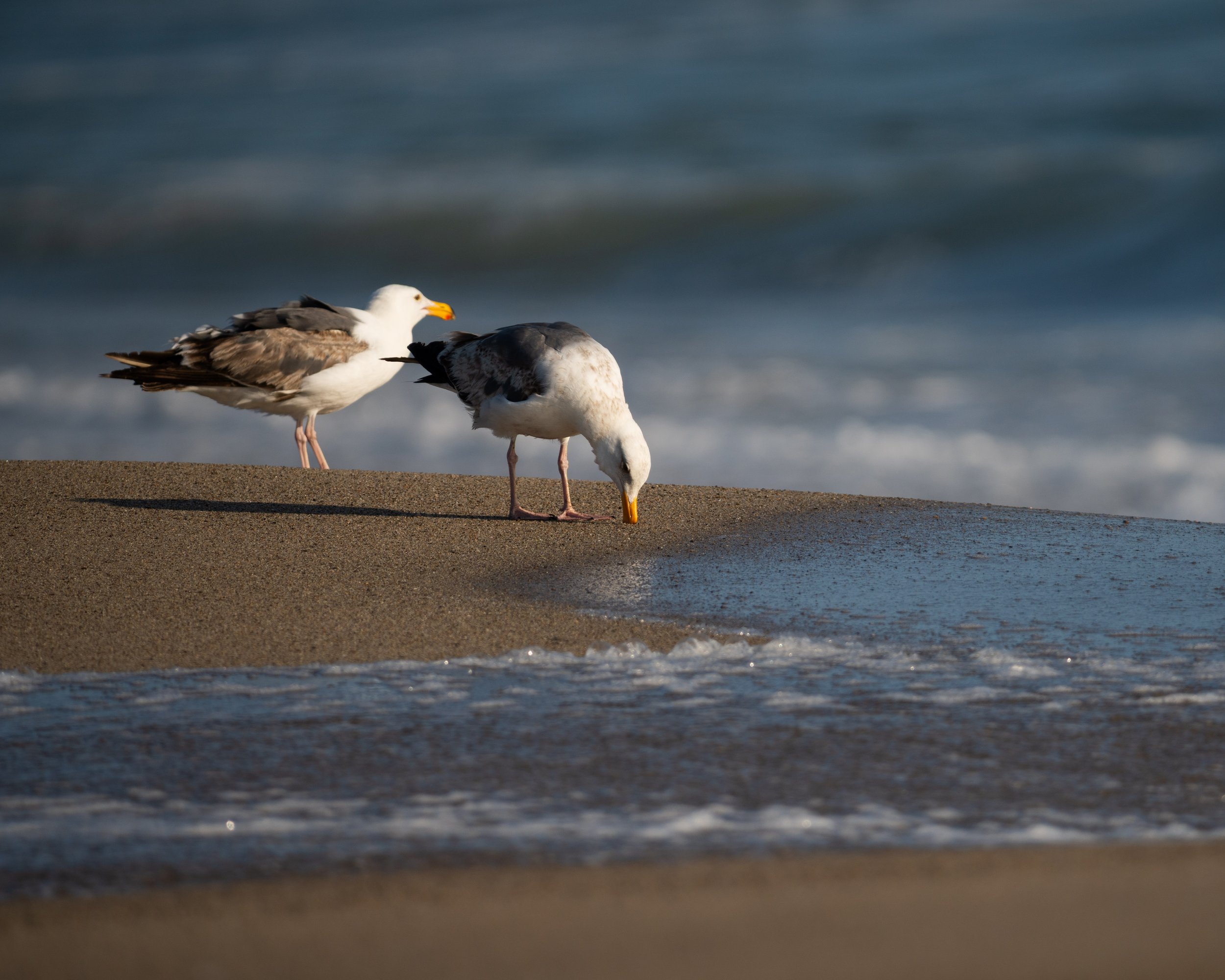 Mostly Beach-12.jpg