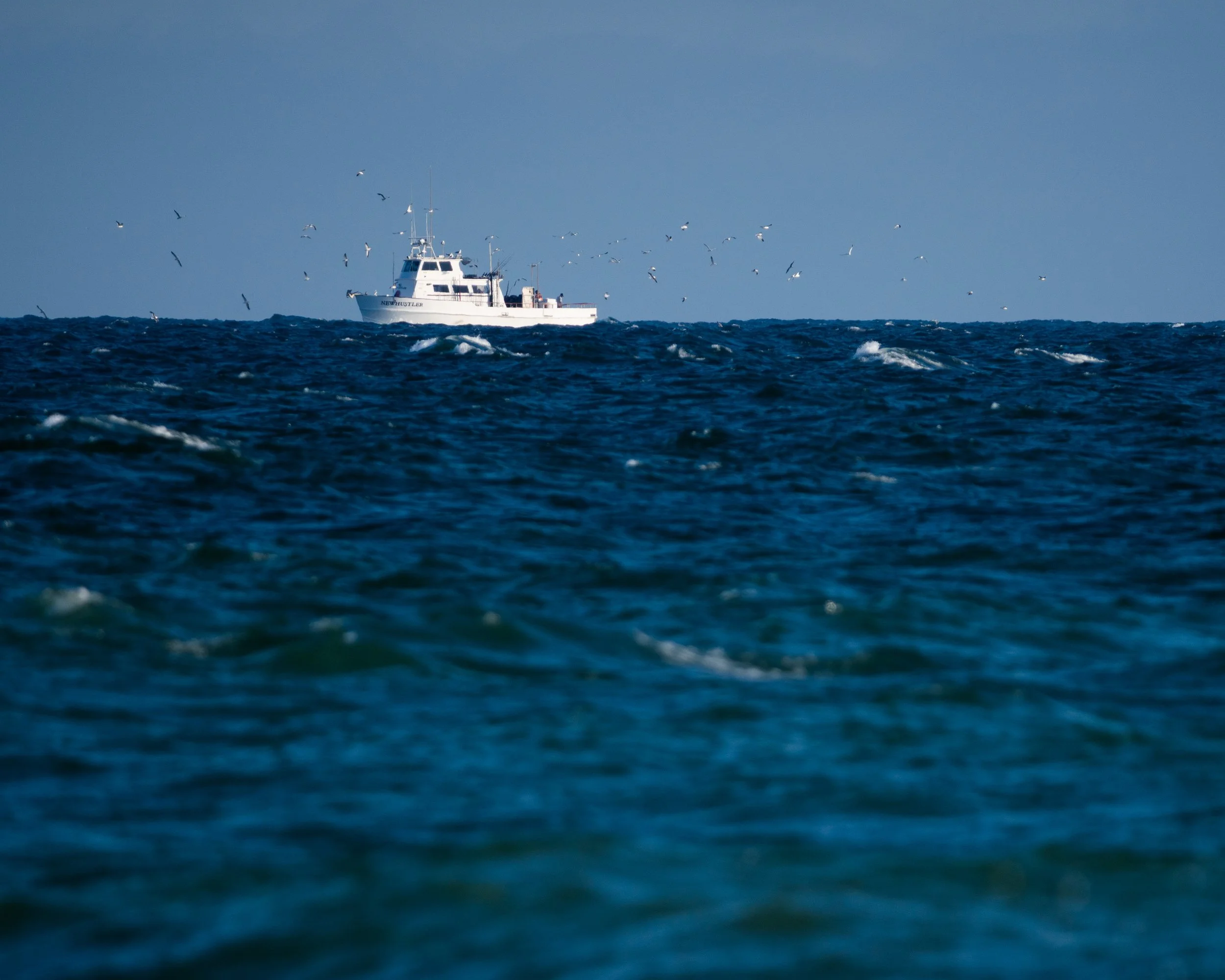Mostly Beach-14.jpg