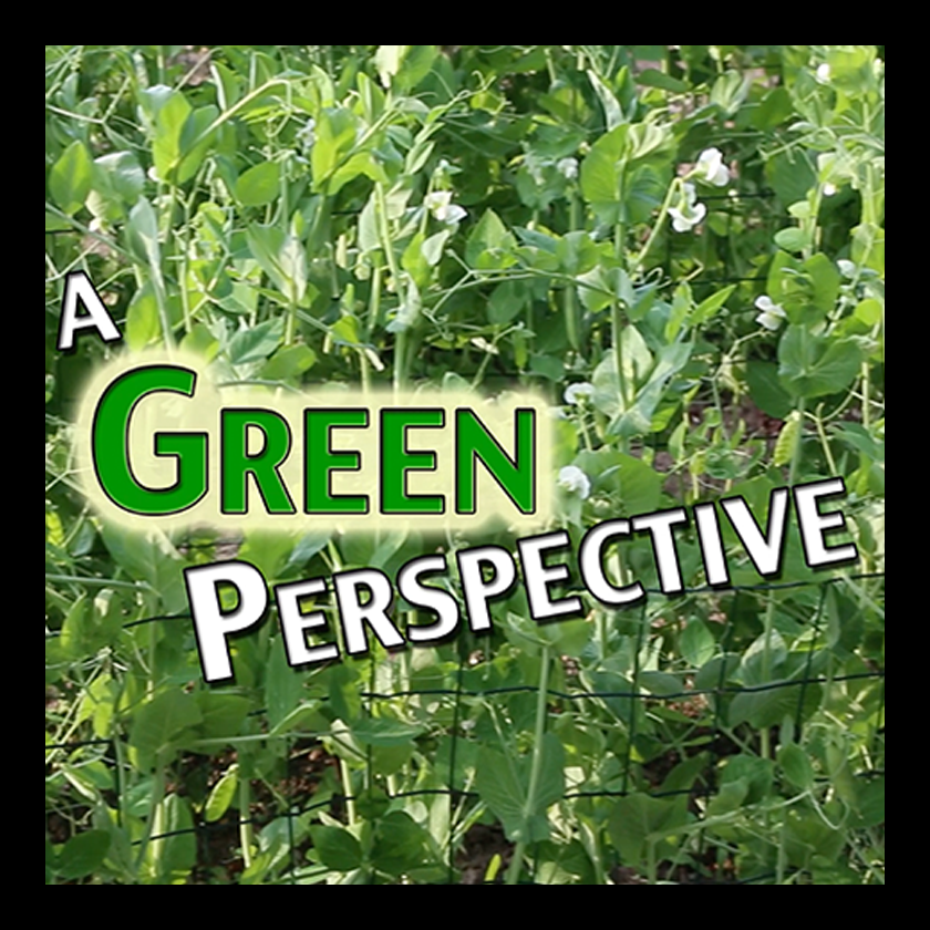 green perspective square.png