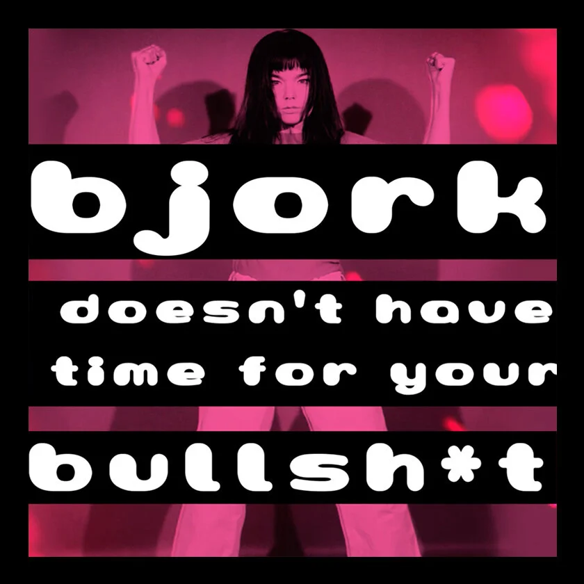 DJ MADDOG Visualizer - Bjork