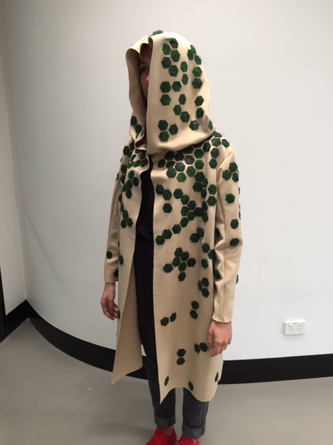 "Latex IT" Project