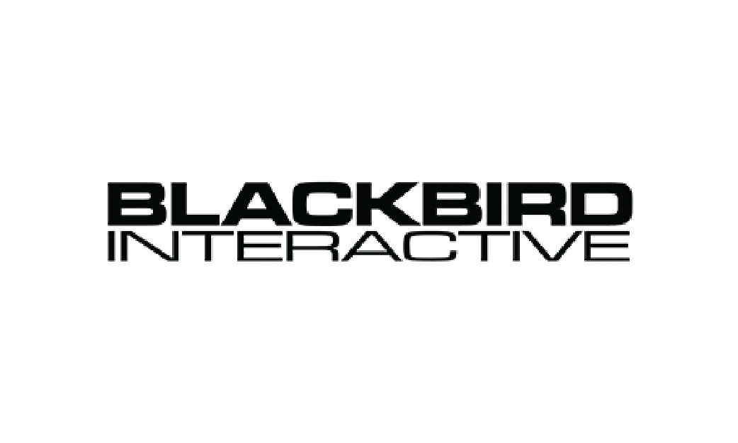  https://blackbirdinteractive.com 