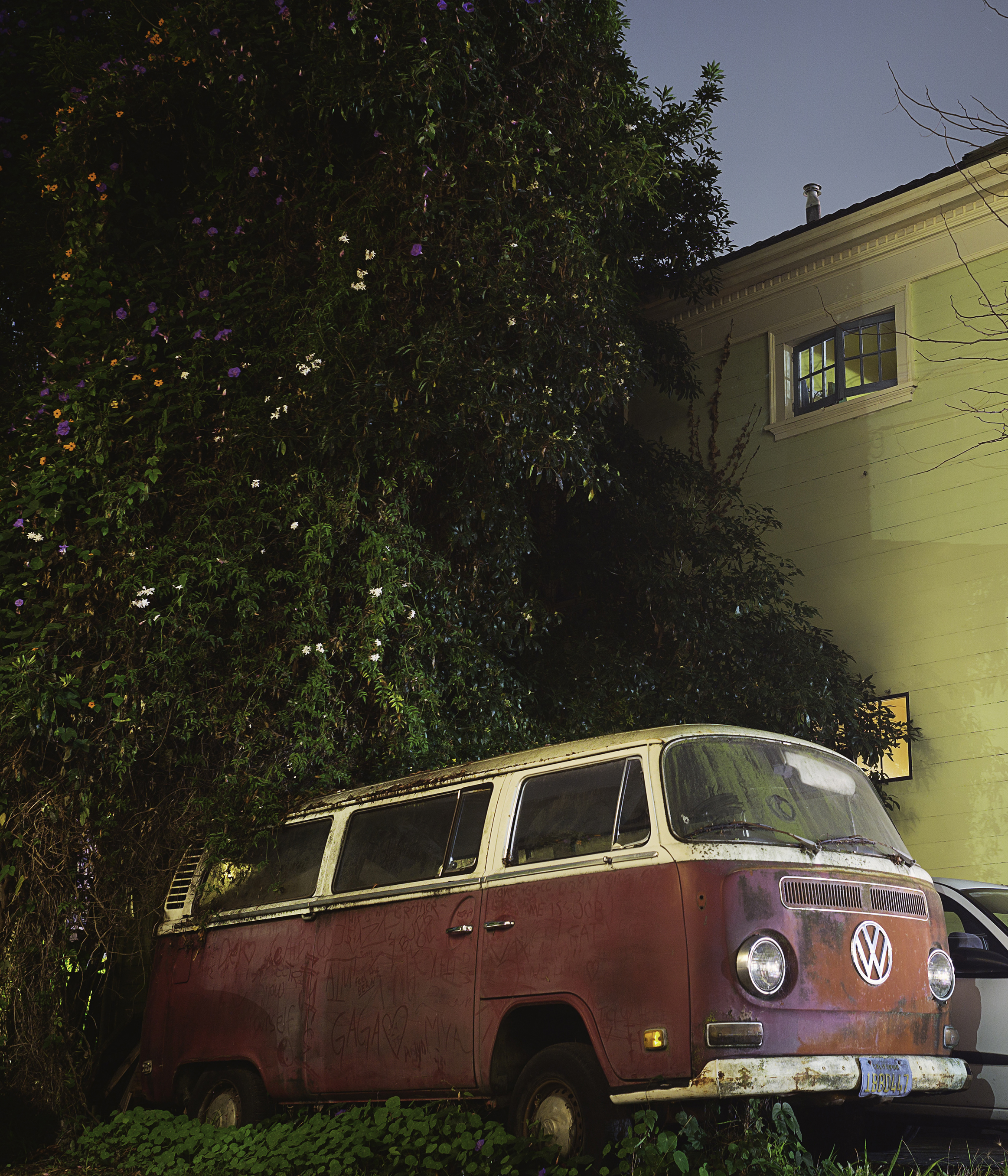 Red VW bus below a christmas tree.jpg