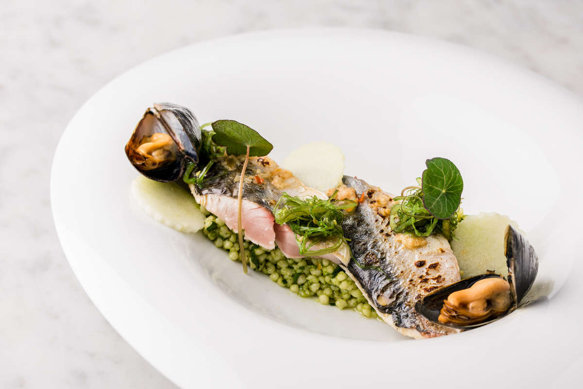 Mackerel
