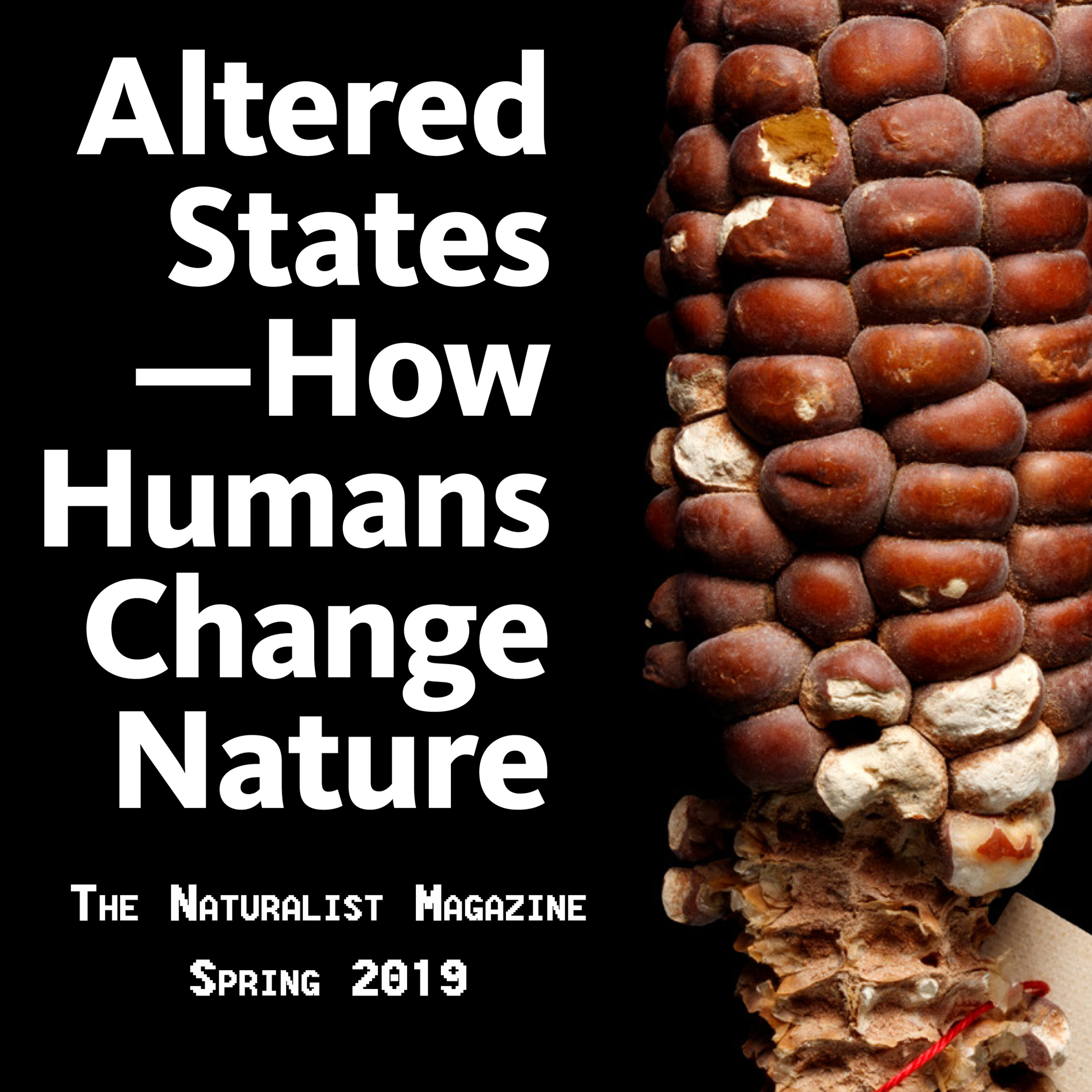 Altered States - How Humans Change Nature from the Spring 2019 issue of the Naturalist Magazine