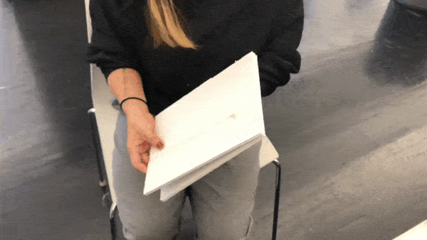 pro01.gif