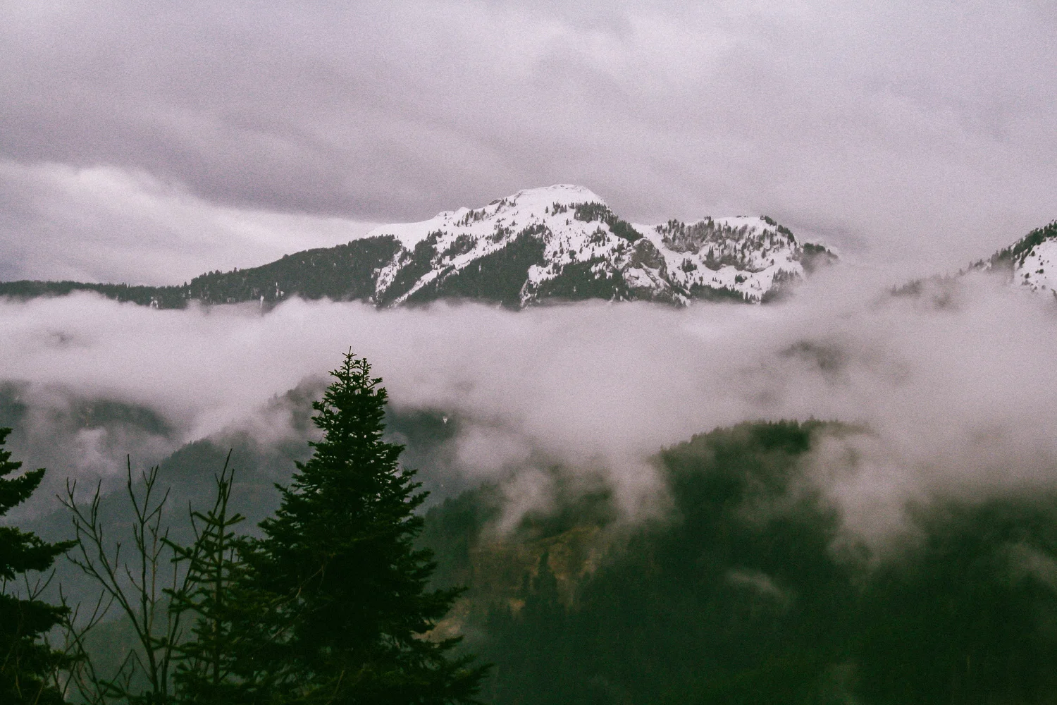 www.SteMajourneys.com-57.jpg